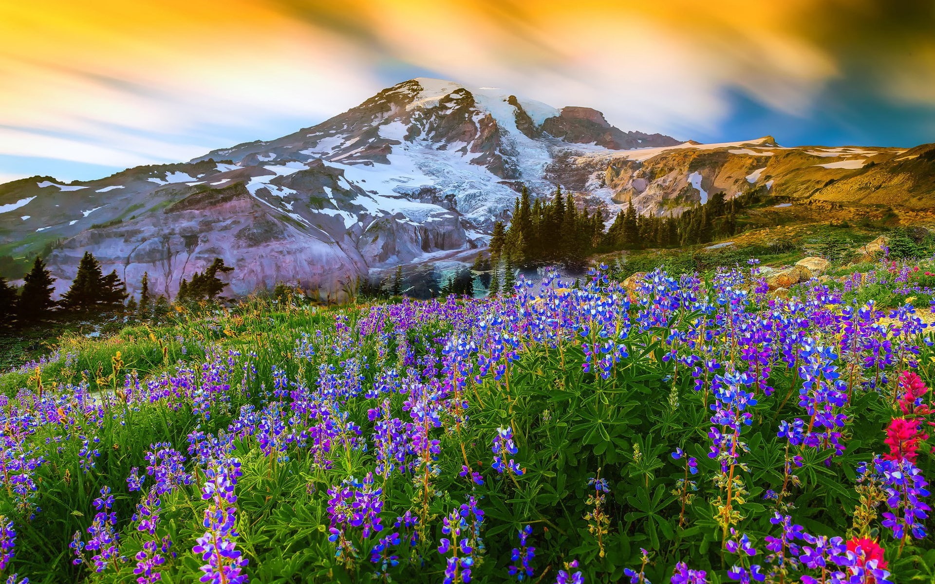 1080P, computer desktop  full screen nature pics 1920x1200, HD Wallpaper