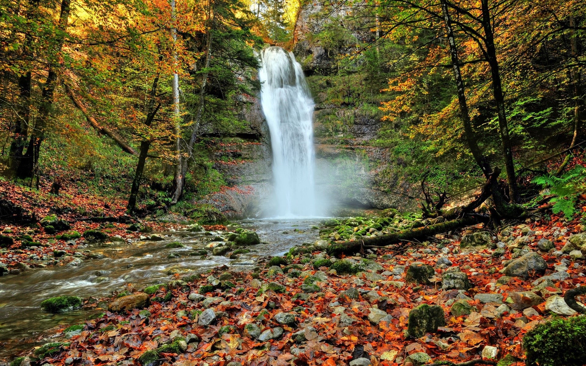 1080P, computer desktop  full screen nature pics 1920x1200, HD Wallpaper