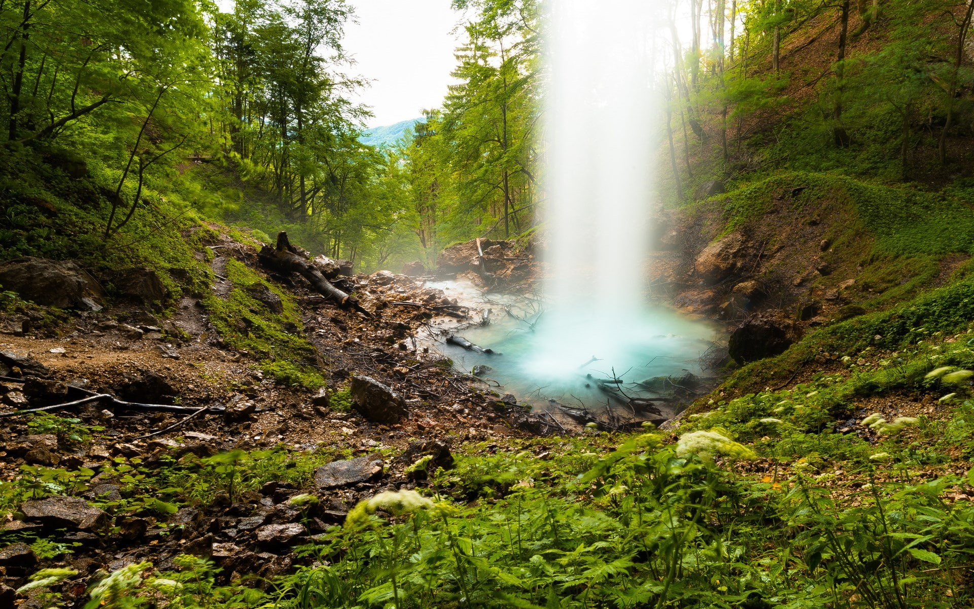 1080P, computer desktop  full screen nature pics 1920x1200, HD Wallpaper