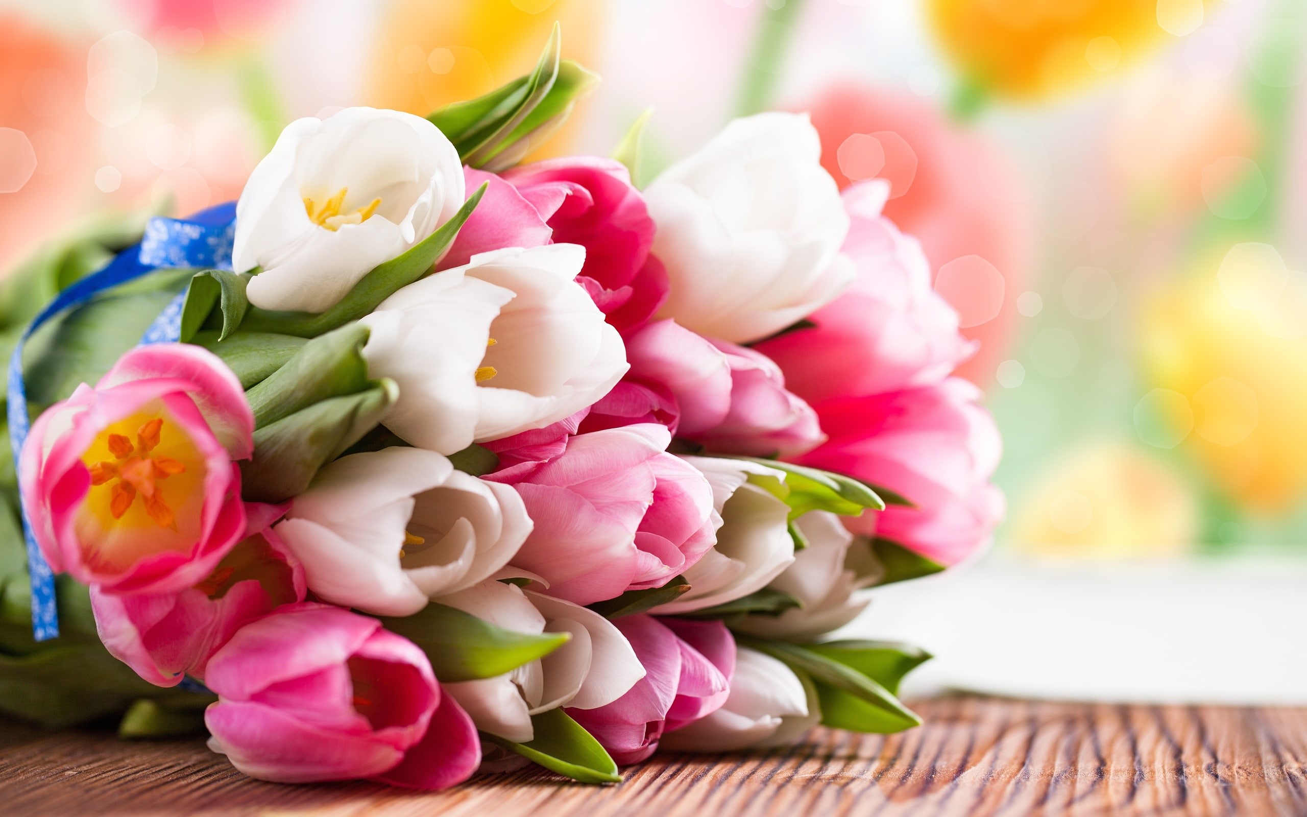 Bouquet, Pink, 2K, tulips, White, Flower, red, Tulip, HD Wallpaper