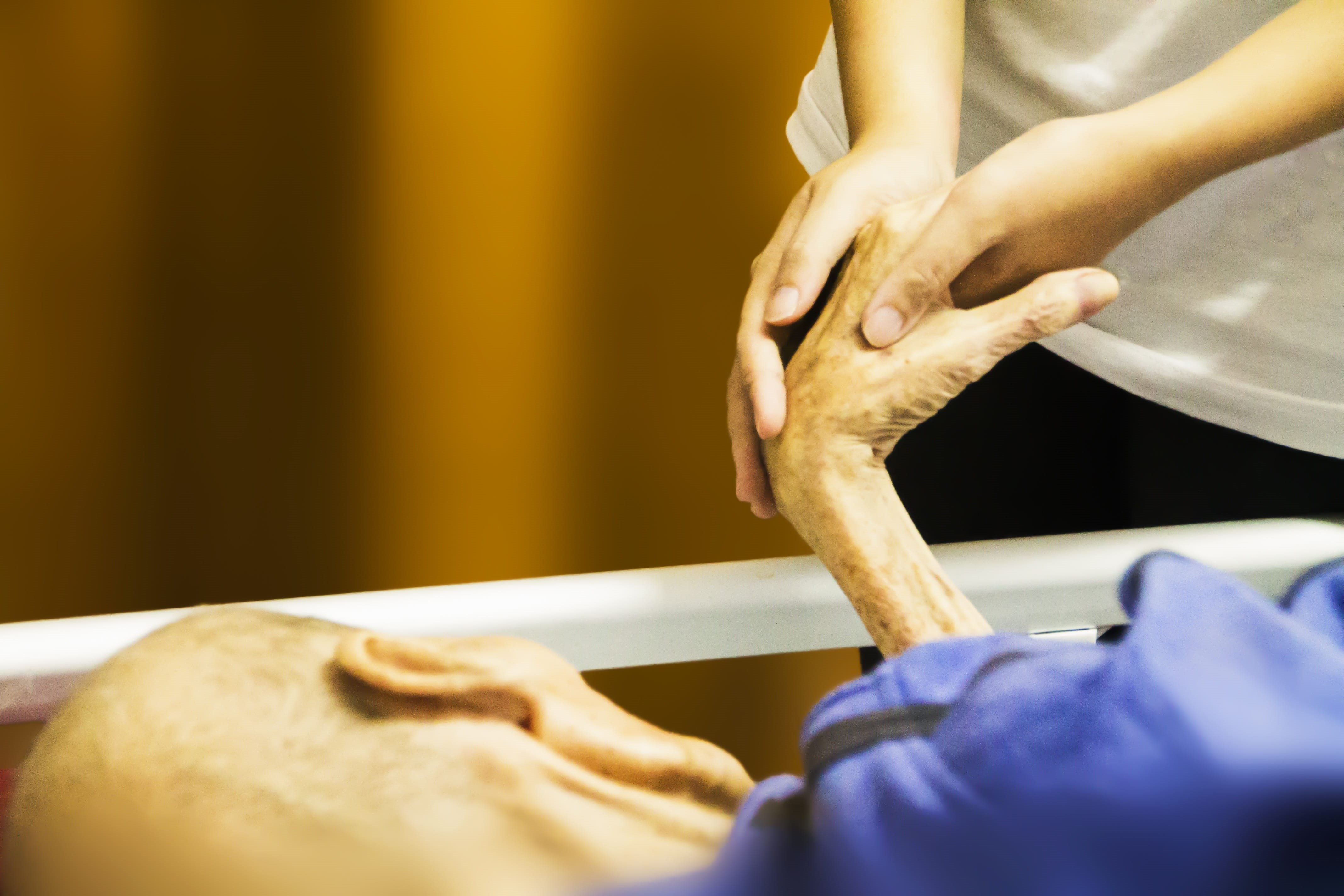 pets, healthcare and medicine, lying, elder care, human leg, aged, person, domestic, people, indoors, hand, helping, human hand, disabled, caring, canine, HD Wallpaper