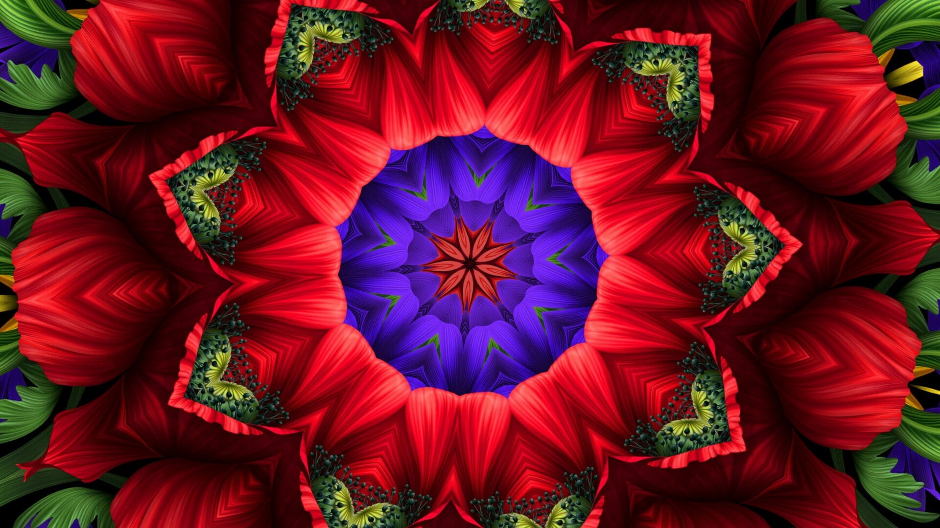 1080P, person, attractive, art and craft, smiling, abstract, chinese new year, repetition, christmas, flower, close-up, flower head, flowering plant, plant, HD Wallpaper
