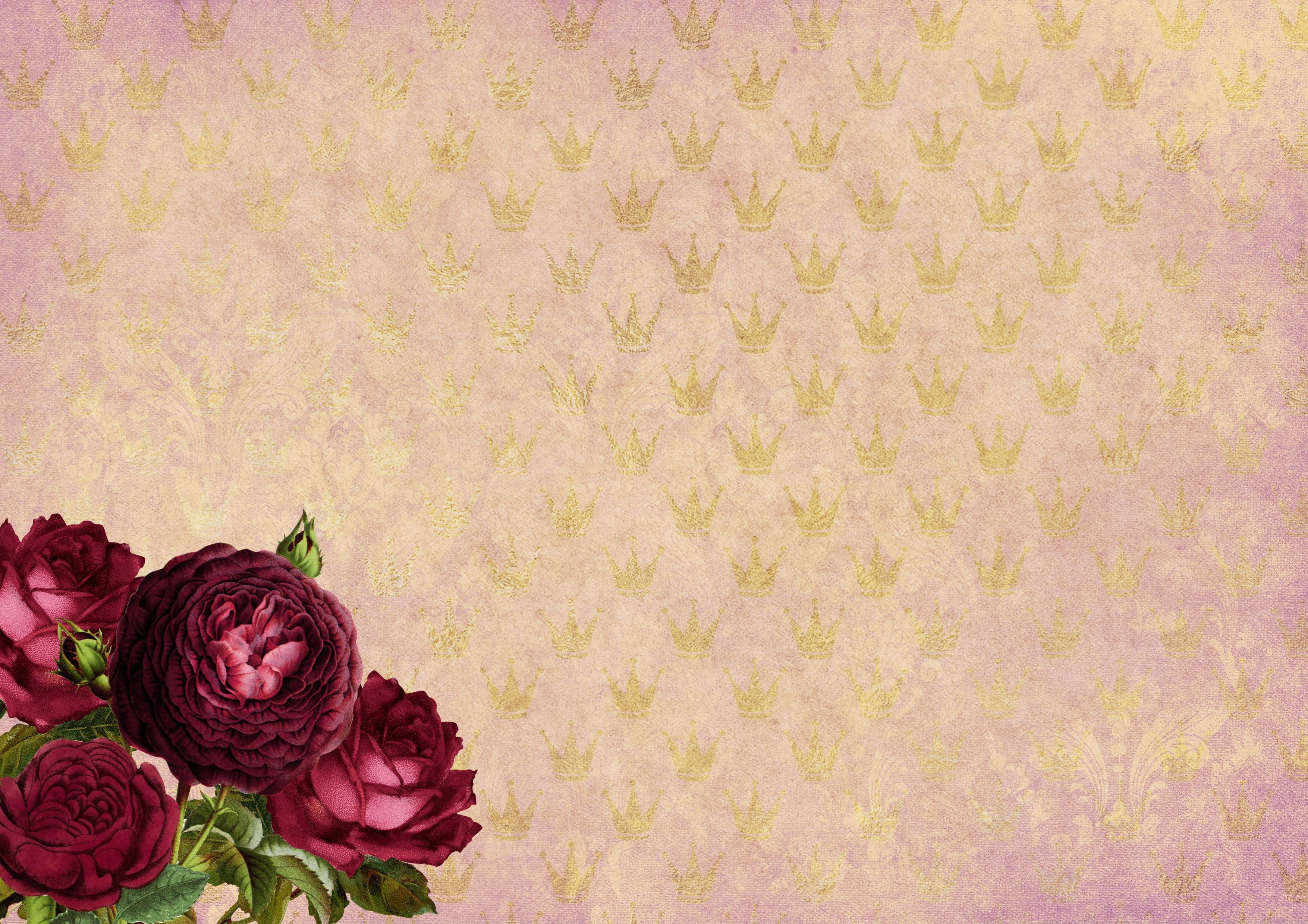 beauty in nature, food and drink, greeting, teenager, welcome, floral pattern, dreamy, chic, backgrounds, red rose, nature, rose - flower, roses, shabby, HD Wallpaper