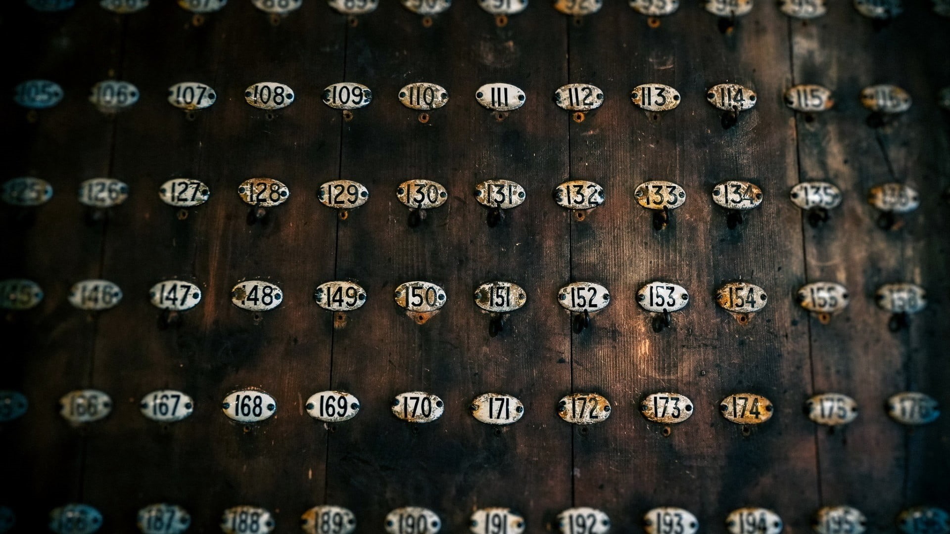 wooden surface, depth of field, in a row, 1080P, pattern, backgrounds, no people, board, history, textured, wood, repetition, full frame, weathered, simplicity, HD Wallpaper