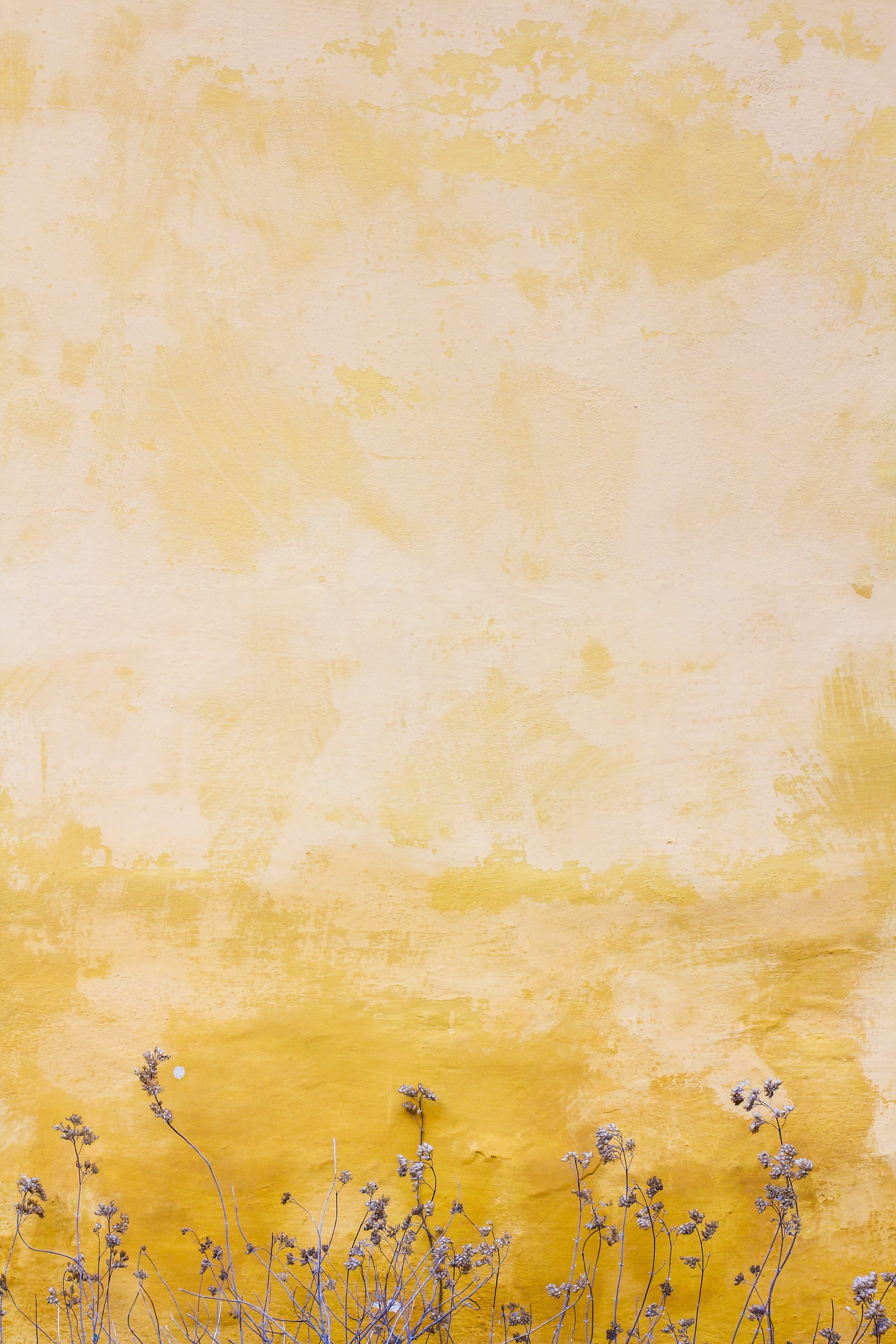 day, run-down, beside, simplicity, no people, wall - building feature, beautiful, sunny, weathered, pattern, yellow, old, cosy, building, concrete, architecture, Phone HD Wallpaper