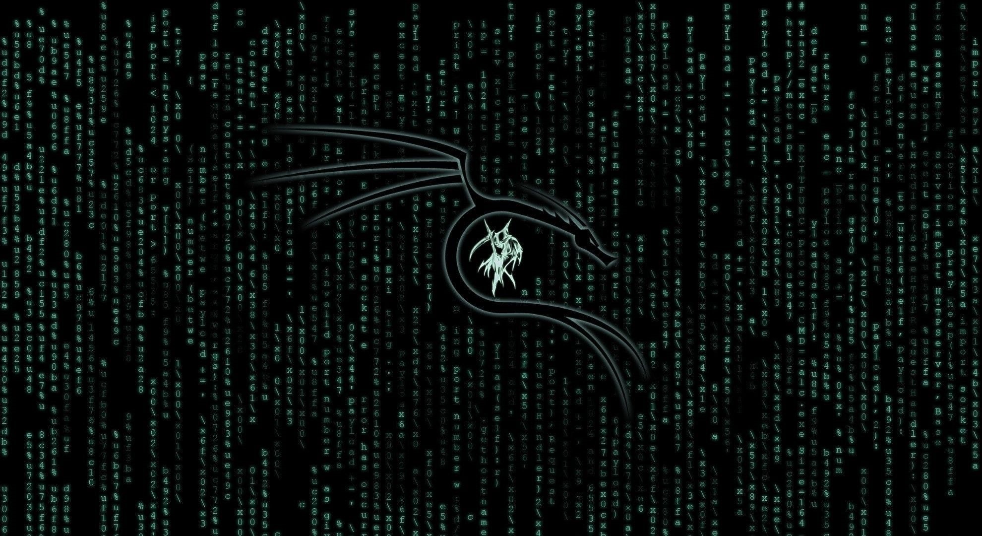 Technology, 1080P, Kali Linux, HD Wallpaper