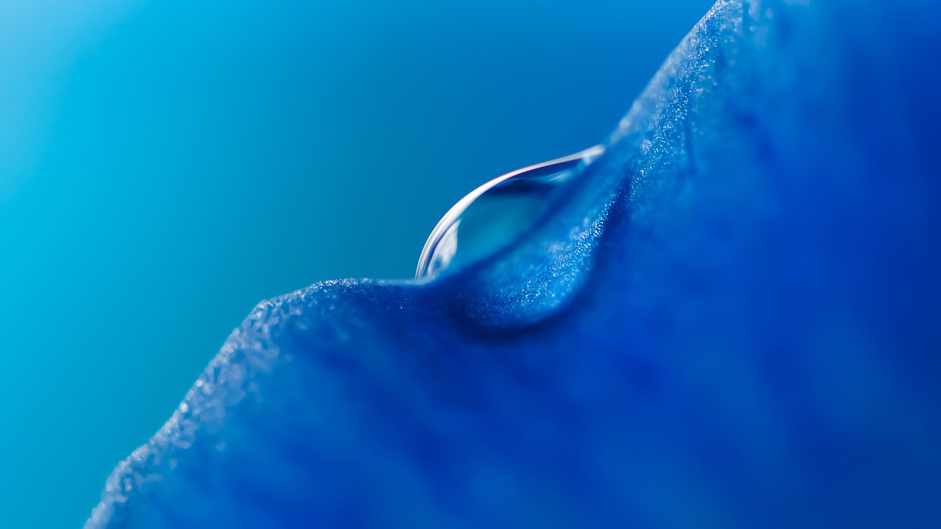 Blue, Stock, MagicBook, honor, Droplet, 1080P, Macro, HD Wallpaper