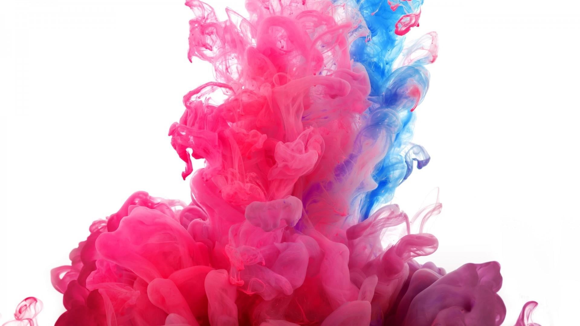 pink color, nature, white background, smoke, mixing, pink, paint, multi colored, indoors, 1080P, cut out, dissolving, motion, close-up, ink, blue, magenta, HD Wallpaper