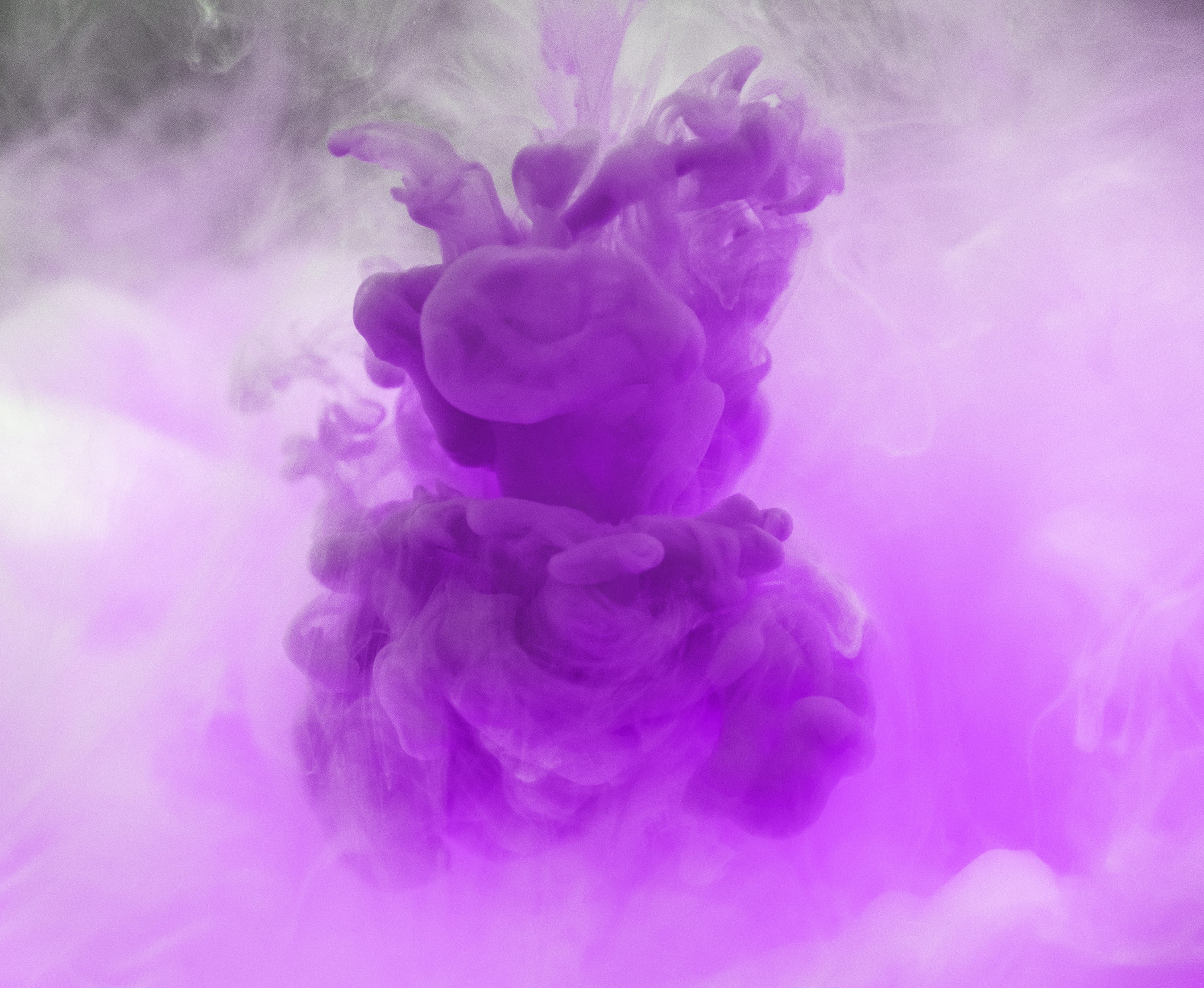flowering plant, softness, vulnerability, mix, flower, water, freshness, dissolve, pink, movement, watercolor, abstract, ink, purple, plant, 2K, colorful, HD Wallpaper