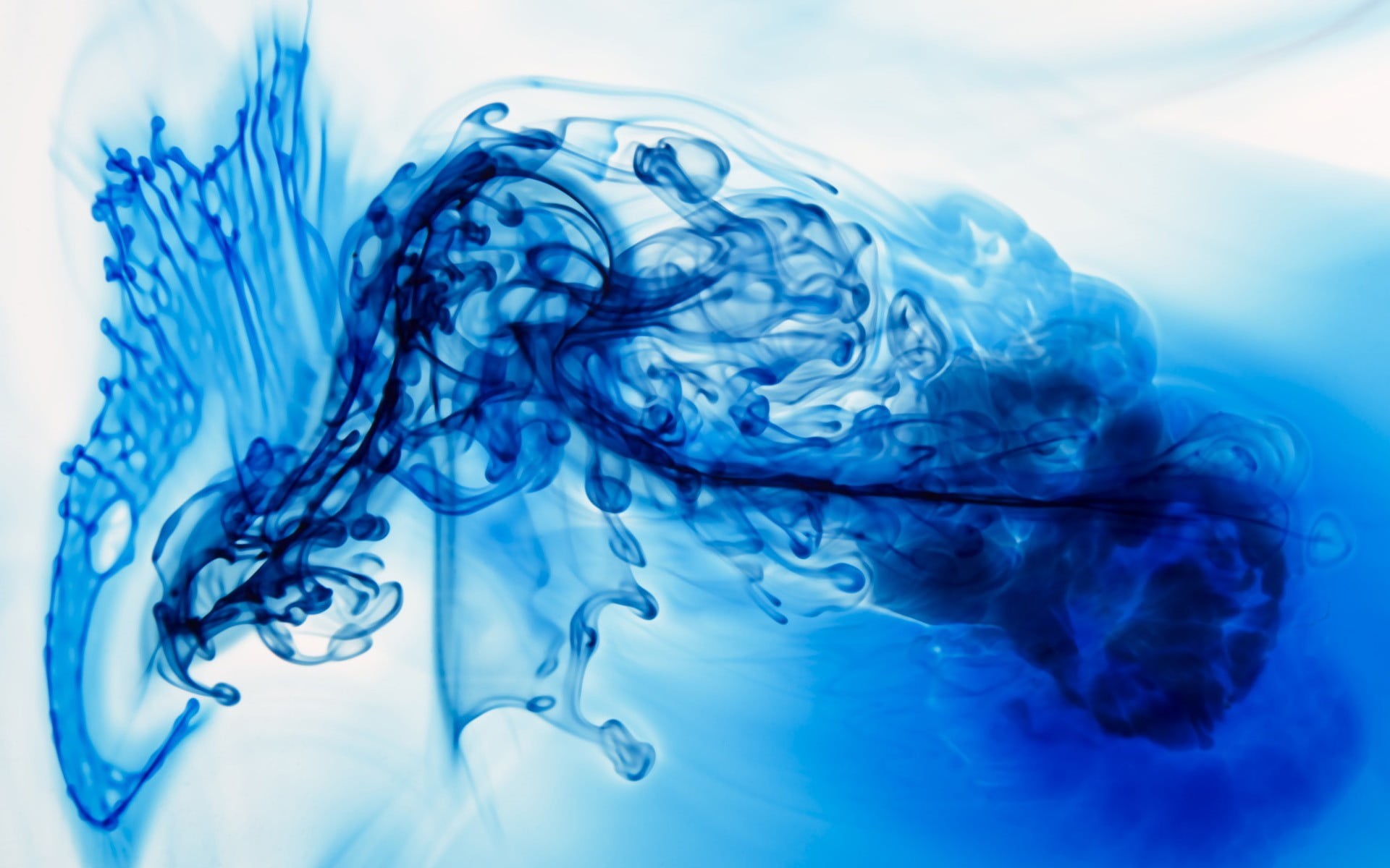 no people, nature, household equipment, paint in water, pattern, white, water, studio shot, ink, indoors, selective focus, blue, food and drink, high angle view, HD Wallpaper