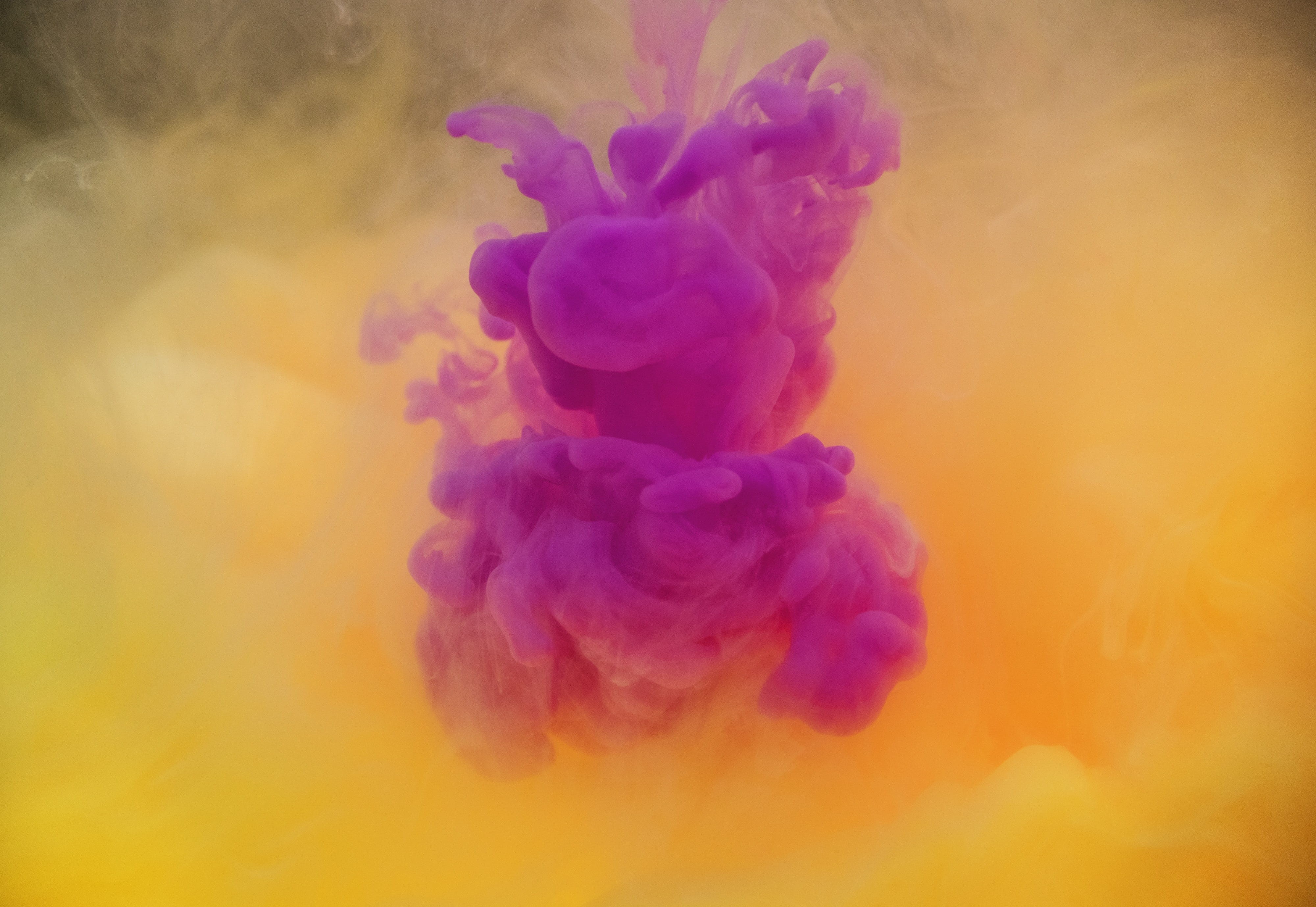 yellow, dissolve, multi colored, plant, creative, purple, vulnerability, explosion, ink, flowing, drop, nature, decoration, fragility, indoors, blend, vibrant color, HD Wallpaper