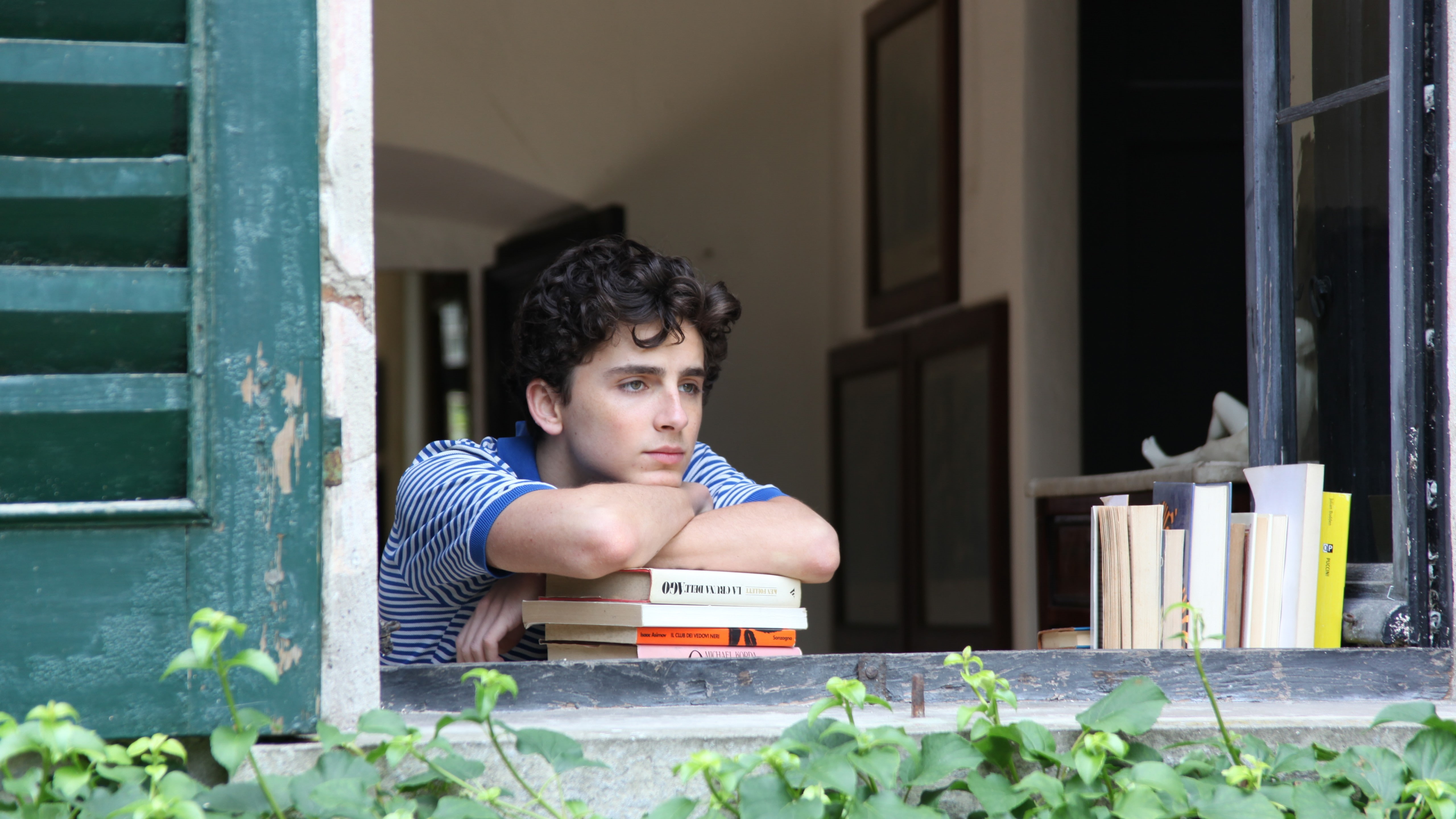 person, resting, stack, 5k, face, Timothee Chalamet, 5K, books, Call Me by Your Name, HD Wallpaper