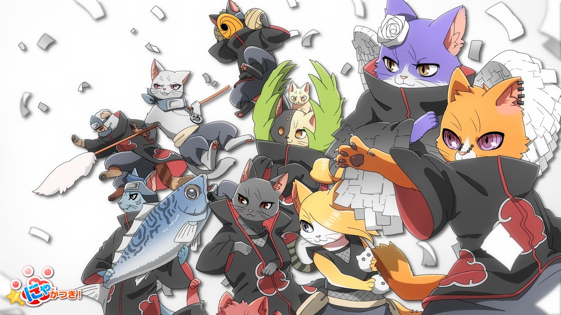 Zetsu, Naruto Shippuuden, Pein, anime, Tobi, Nekoruto, Kakuzu, cat, Uchiha Itachi, 1080P, manga, Hoshigaki Kisame, Akatsuki, Deidara, Konan, HD Wallpaper