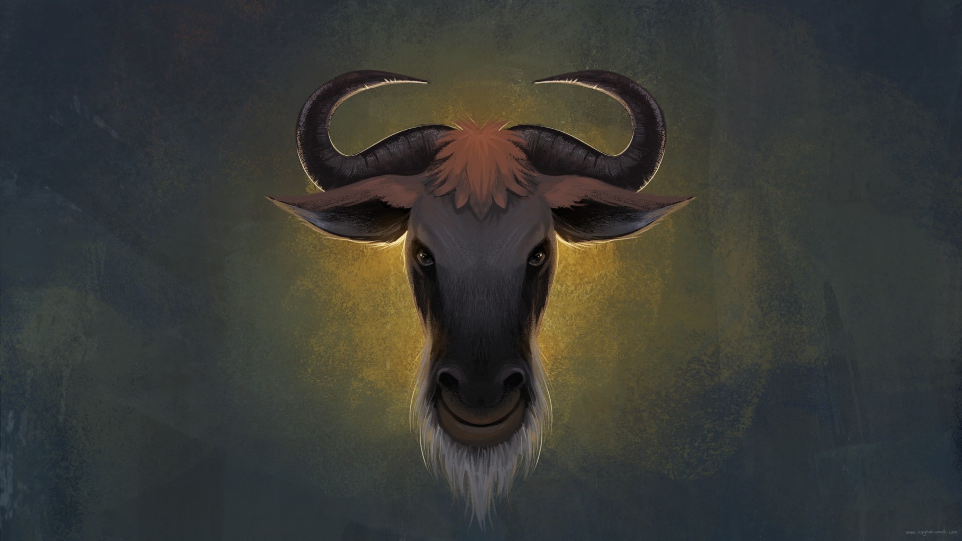 wall - building feature, animal themes, animal, one animal, animal wildlife, animal head, cattle, mammal, domestic, Linux, horned, 1080P, domestic animals, HD Wallpaper