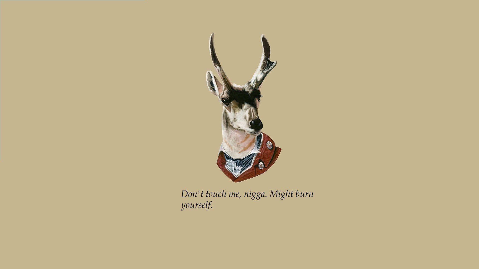 studio shot, communication, text, quote, black, one animal, horned, wall - building feature, 1080P, animal body part, animal wildlife, colored background, HD Wallpaper