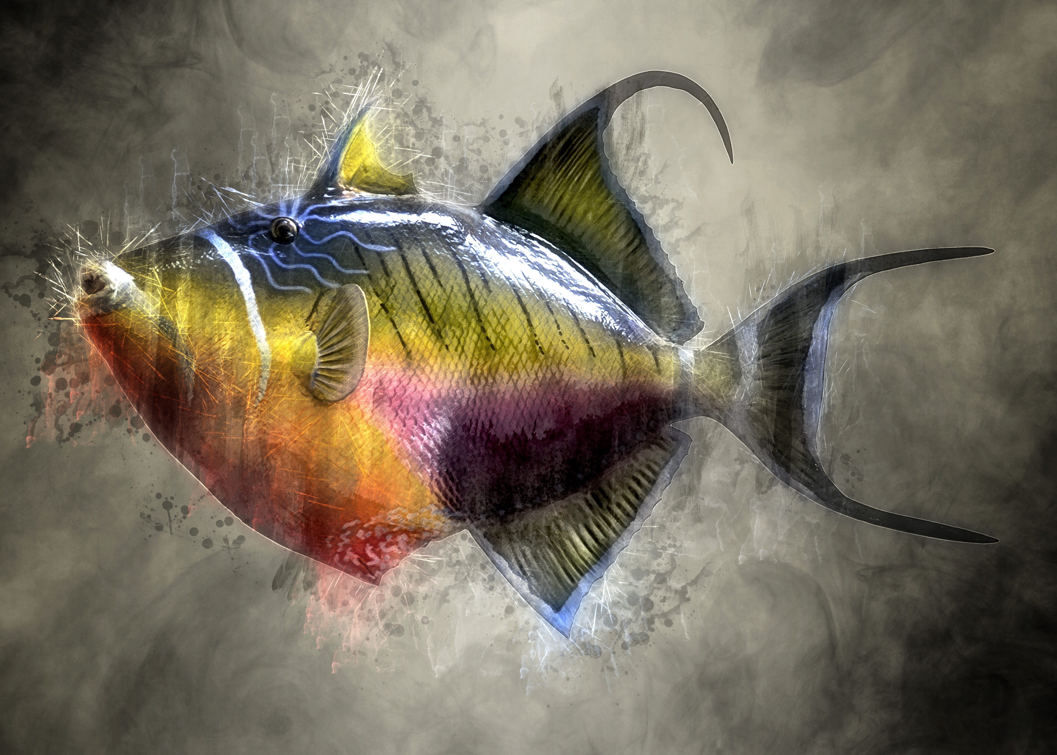 wild, full length, diving, aquarium, textured effect, fish, snorkeling, animal themes, animals in the wild, taxidermy, close-up, scuba, no people, digital manipulation, HD Wallpaper