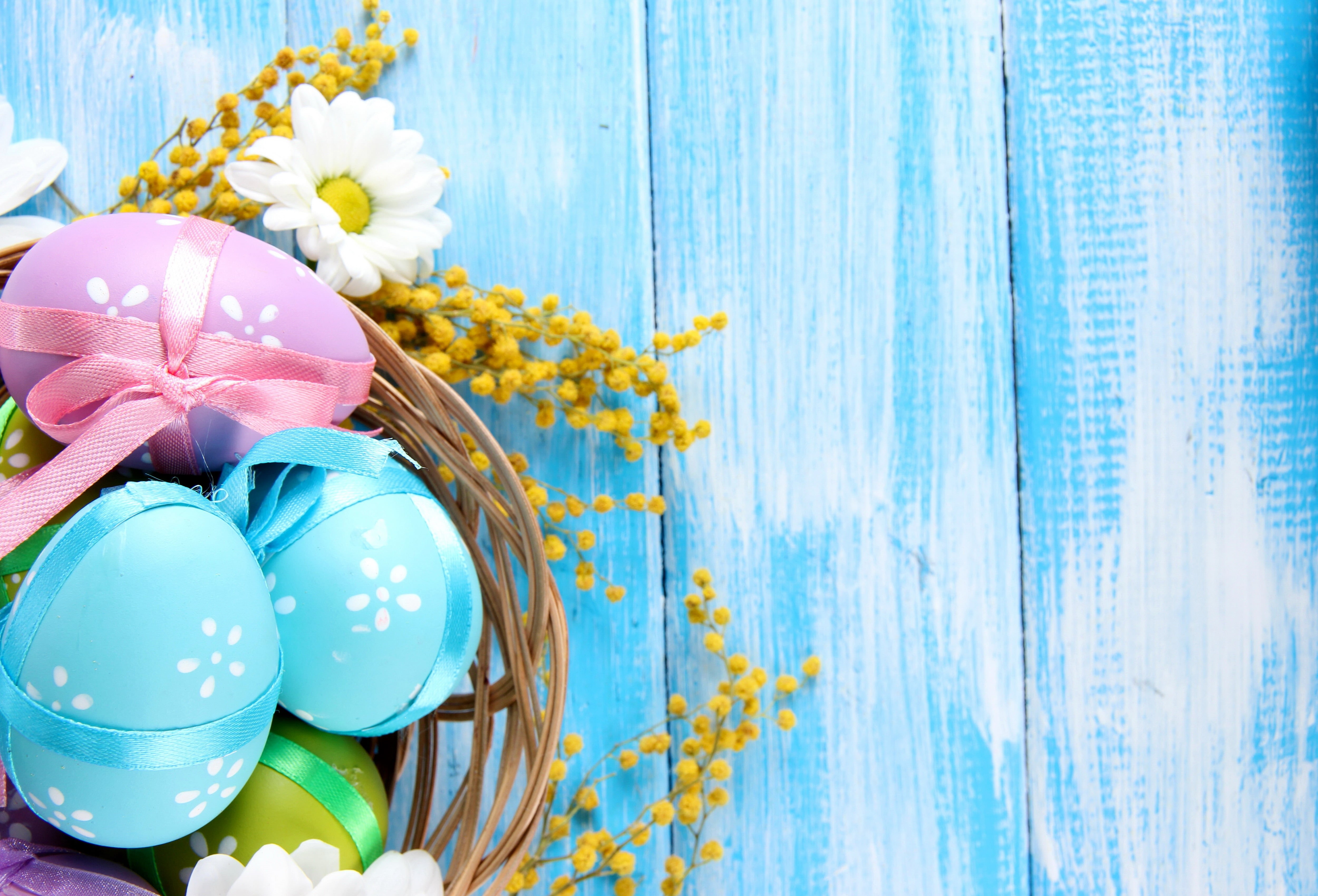 wood - Material, yellow, decoration, decorating, vibrant Color, outdoors, event, 4K, chamomile, pastel Colored, animal Egg, flower, egg, green Color, season, HD Wallpaper