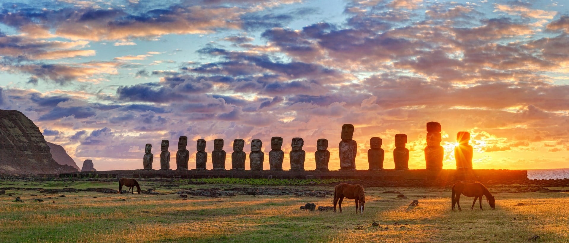 720P, travel destinations, built structure, stone, grass, mammal, green, gray, beauty in nature, Chile, sea, animal themes, outdoors, sunset, cloud - sky, HD Wallpaper
