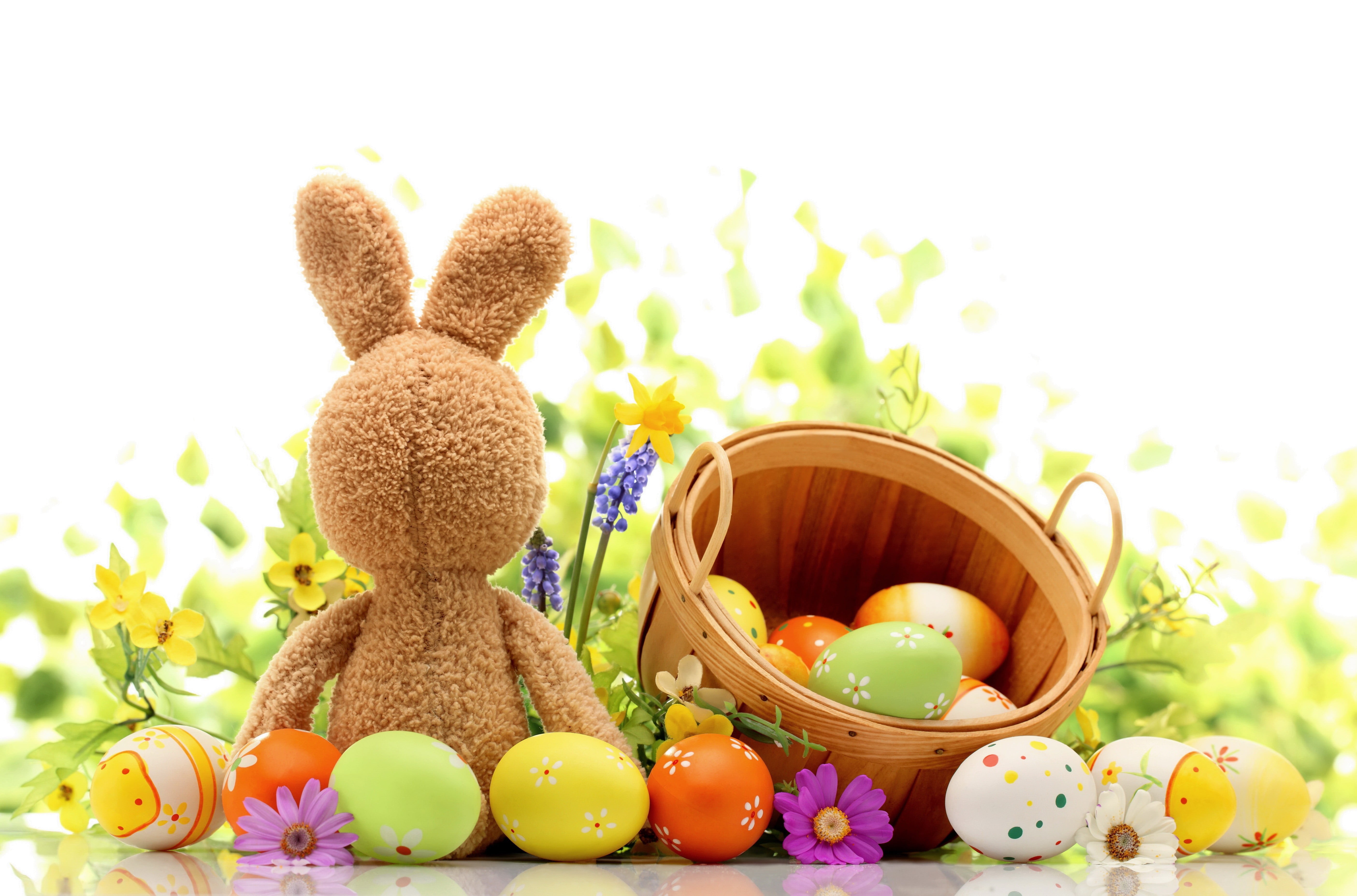 representation, Easter, plant, decoration, lot, animal representation, springtime, art and craft, assorted, still life, 5K, egg, food and drink, holiday - event, HD Wallpaper