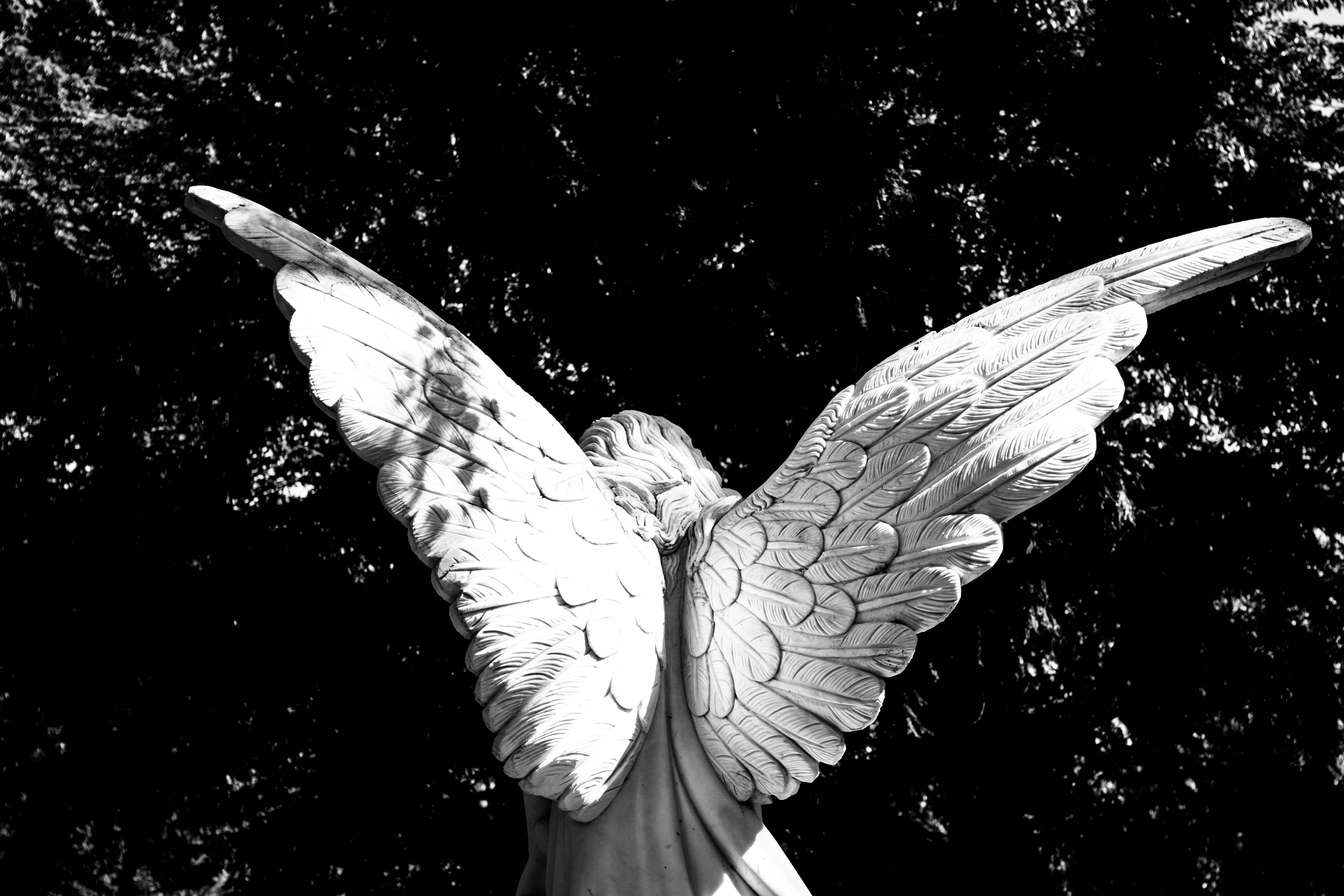 nature, animal, angel figure, close-up, greyscale, art and craft, spread wings, bird, stone figure, faith, stone, animal wing, artwork, christianity, wing, HD Wallpaper