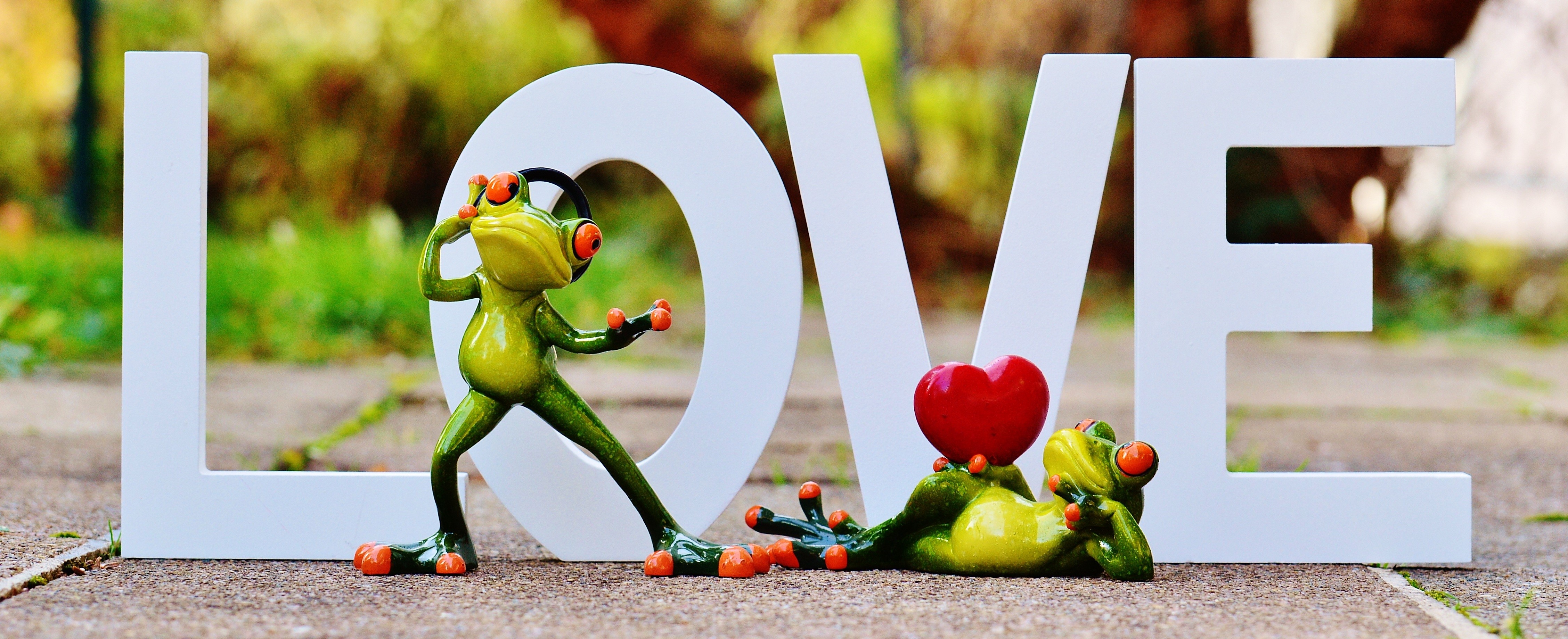 decoration, creativity, still life, healthy eating, for two, sweet, frogs, animal representation, feelings, funny, together, nature, cute, romance, figure, HD Wallpaper