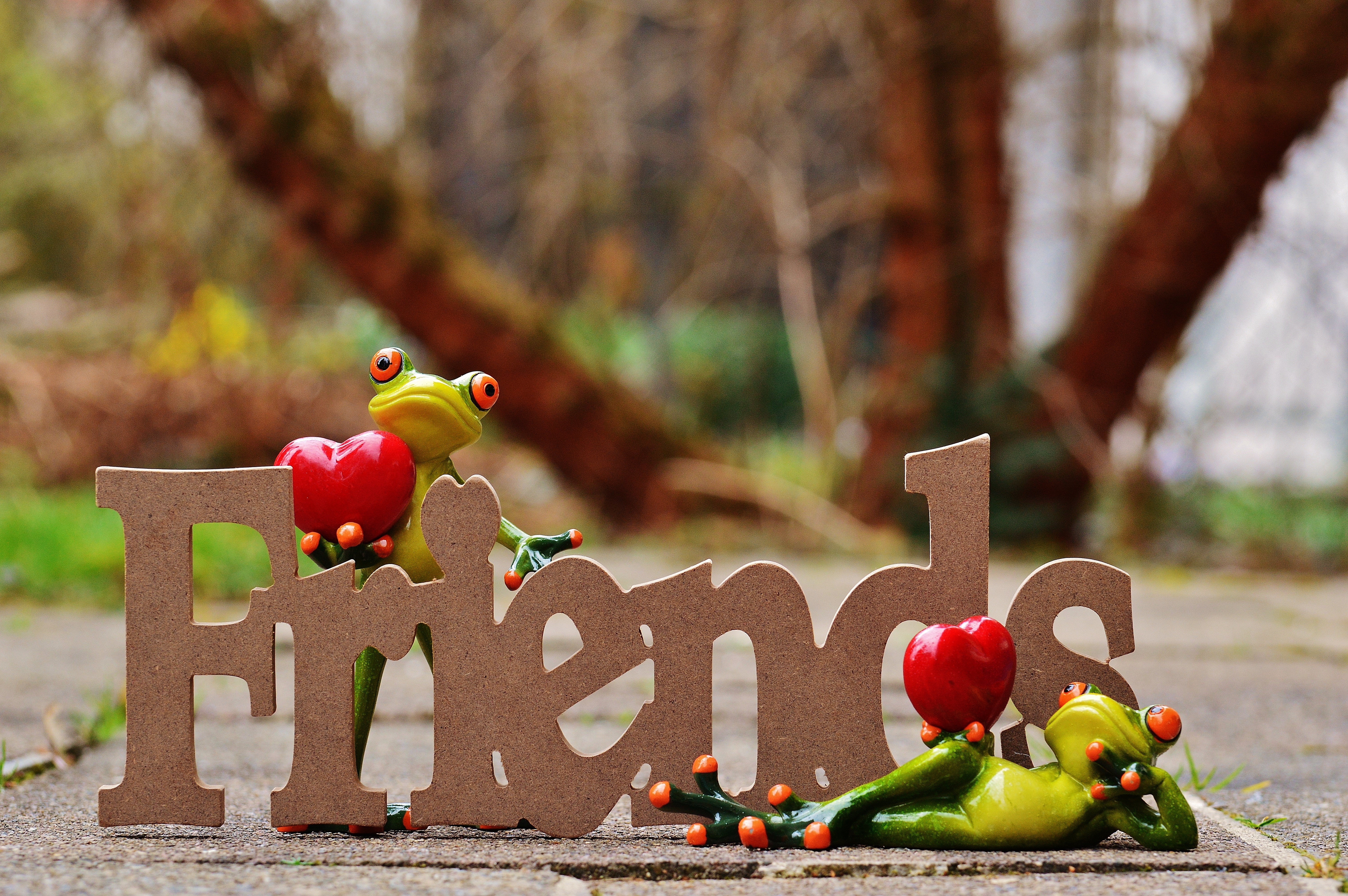 combines, marry, frogs, no people, red, affection, food and drink, food, pair, apple - fruit, lovers, nature, heart, feelings, love, funny, tenderness, HD Wallpaper
