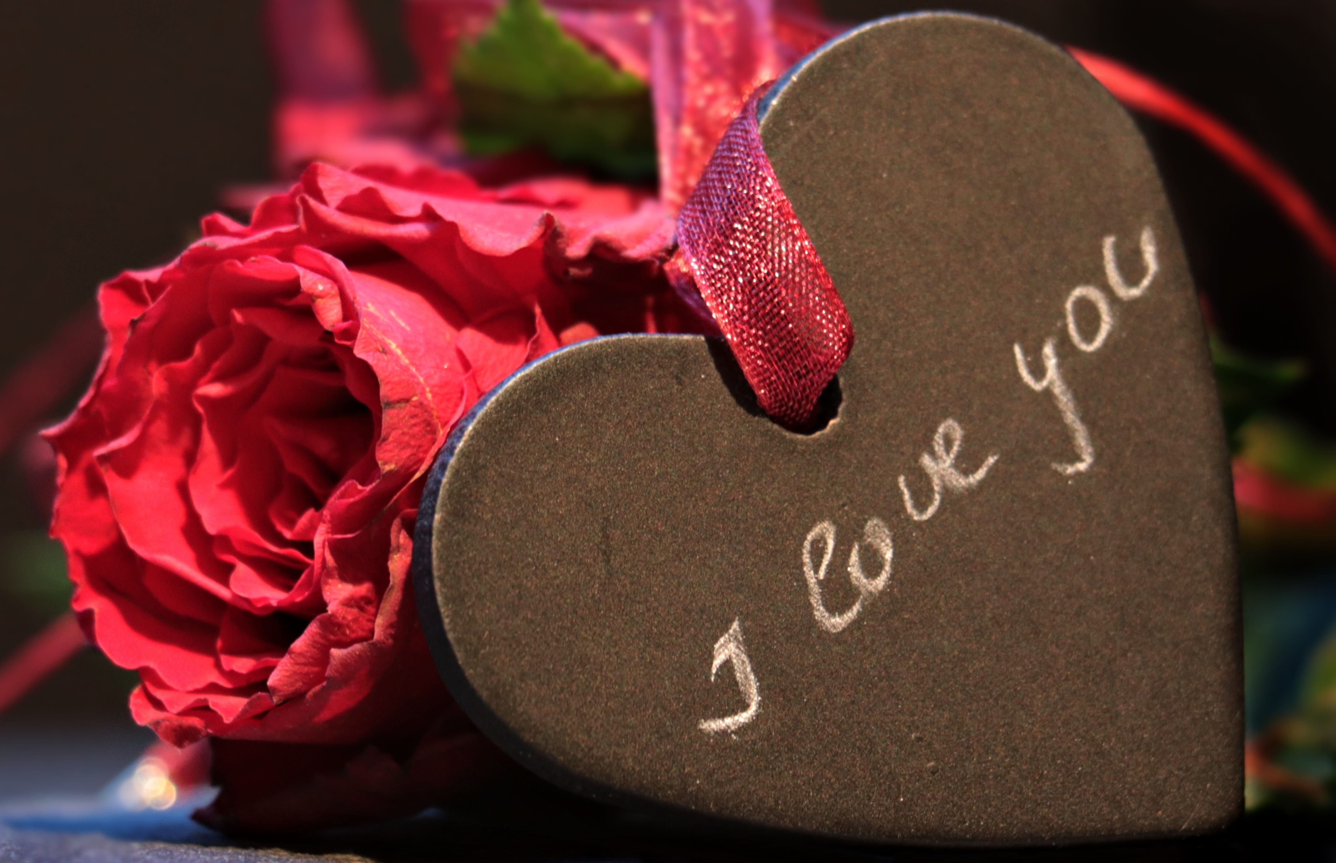 map, no people, i love you, valentines day - holiday, 4K, connectedness, heart shape, luck, symbol, relationship, western script, feelings, valentines day, HD Wallpaper