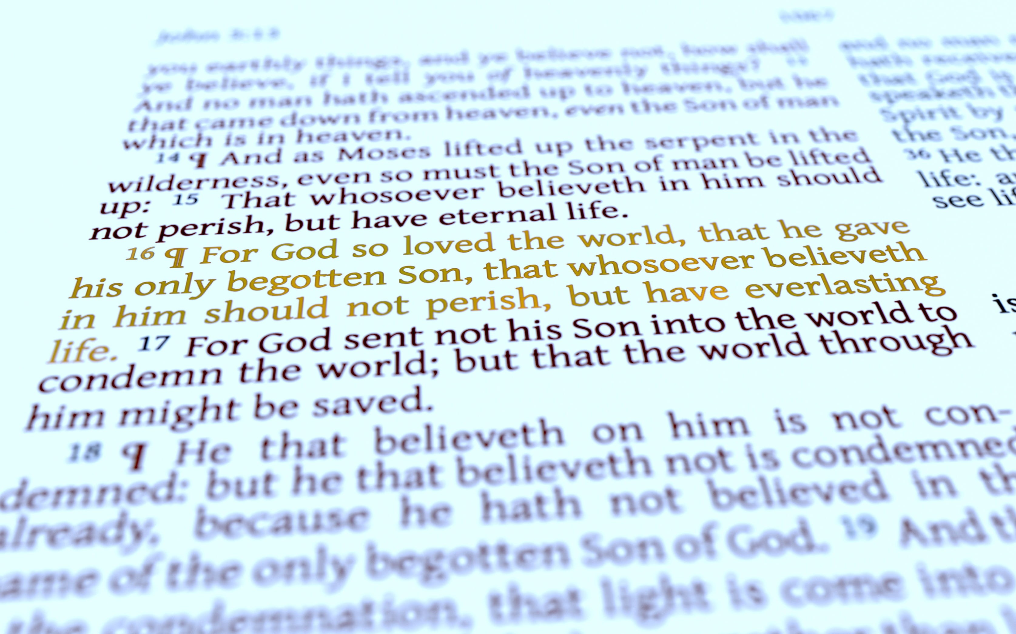 bible, single word, religion, jesus, selective focus, close-up, gospel, john, christ, communication, no people, christian, faith, message, text, indoors, HD Wallpaper