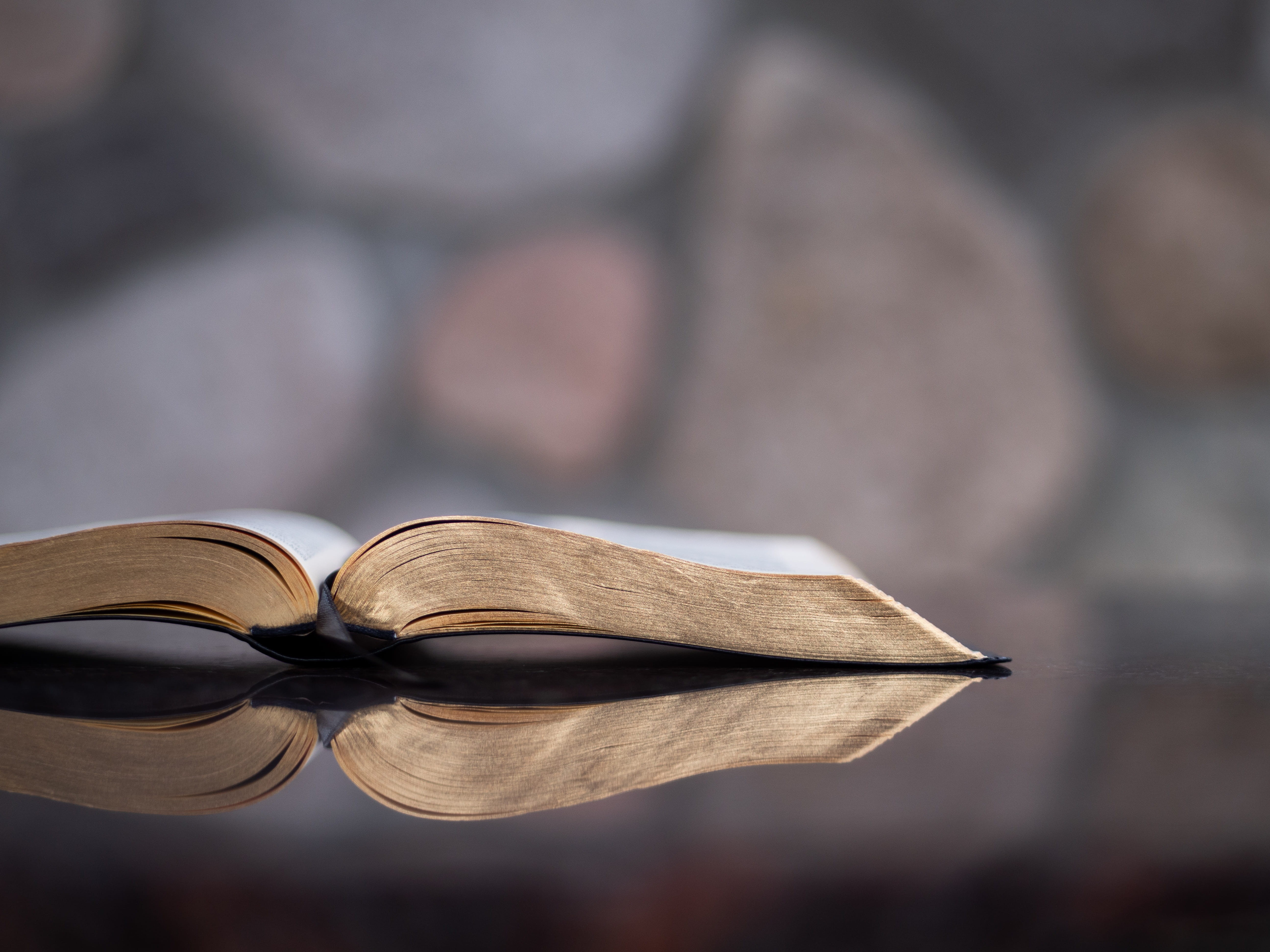 wood - Material, bokeh, reading, backgrounds, single Object, university, page, bible, reflect, library, table, textbook, scripture, biblical, wall, document, HD Wallpaper