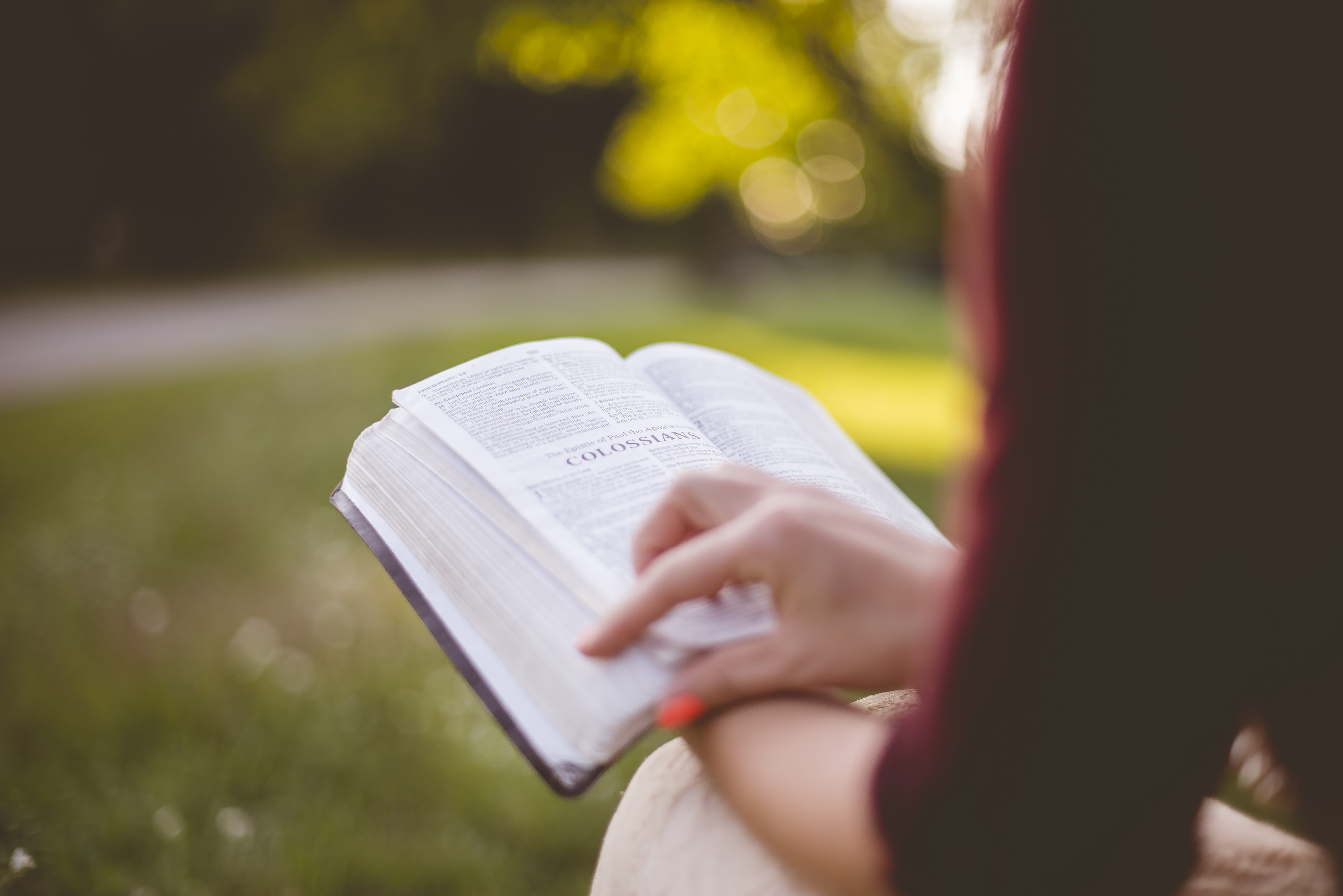 church, christian, education, sitting, paper, learning, close-up, hand, focus, god, one person, book, girl, 5K, woman, leisure activity, activity, park - man made space, HD Wallpaper