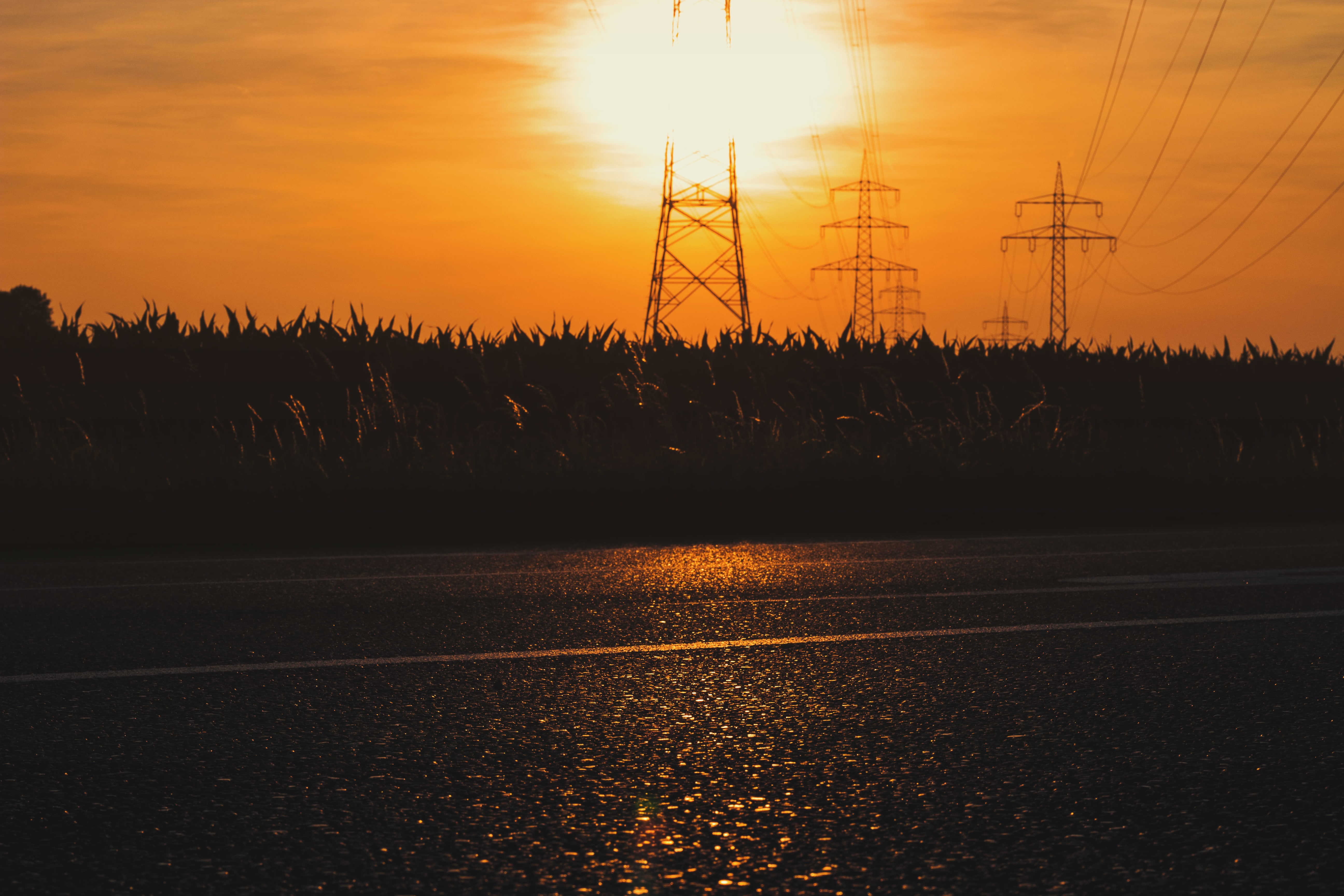 nature, utility pole, trees, grass, 5K, sunset, HD Wallpaper