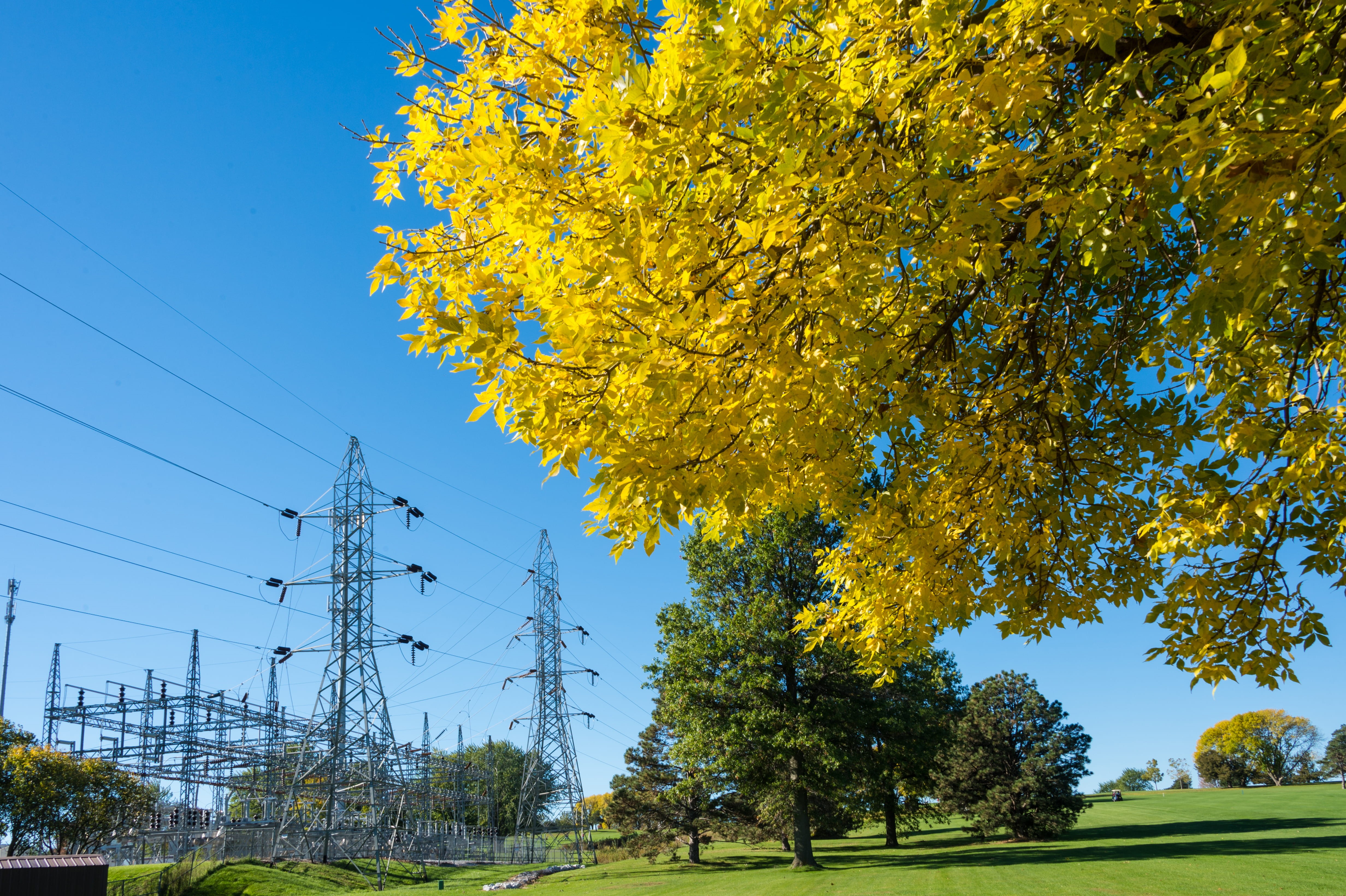 tower, person, trees, beauty in nature, taking, tree, no people, photo, near, utility, outdoors, power supply, public power, yellow, day, electric substation, HD Wallpaper