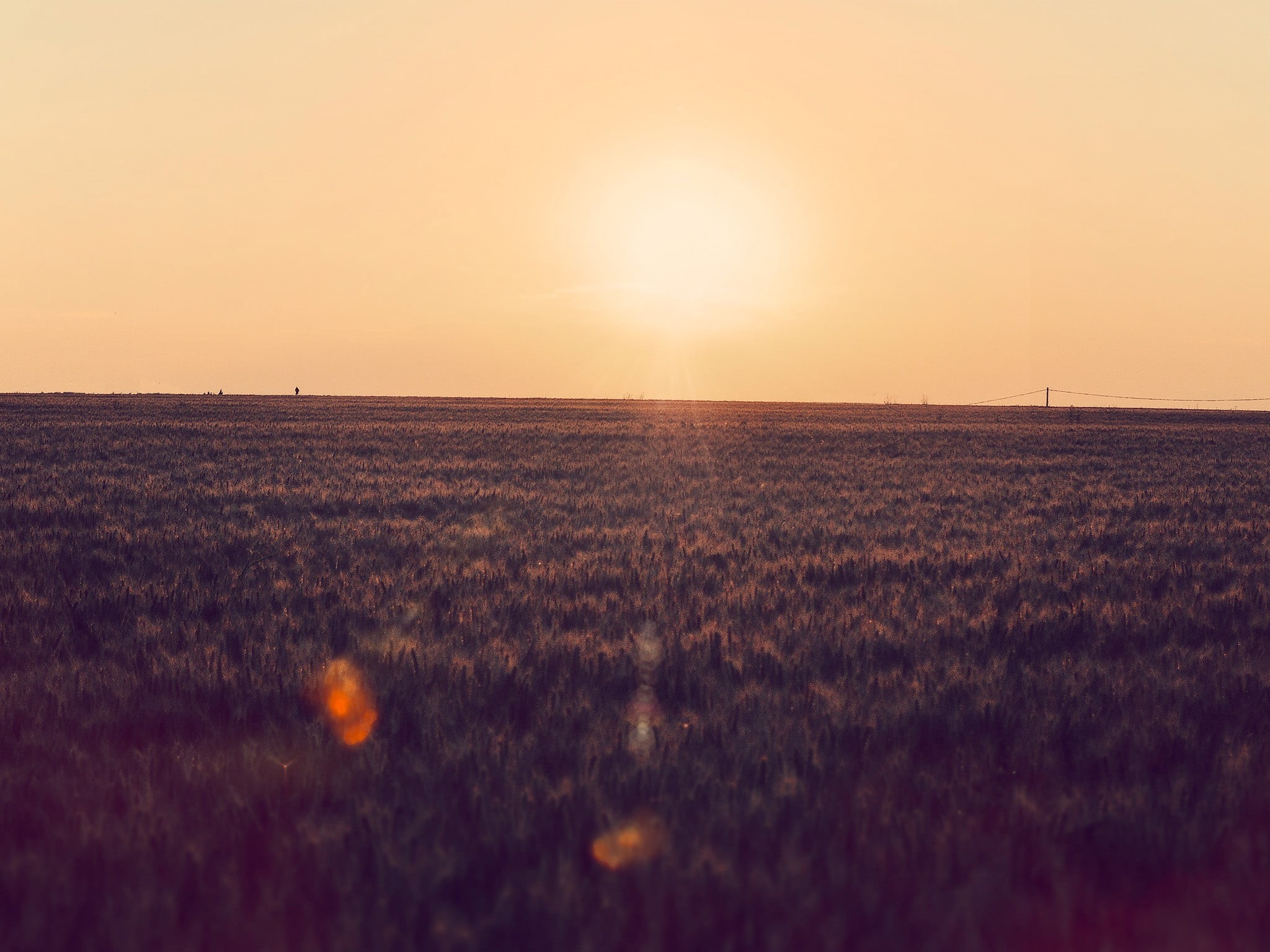 sky, beauty in nature, clear sky, farm, no people, land, horizon, field, 1080P, photography, rural scene, sunset, environment, sunlight, landscape, scenics - nature, HD Wallpaper