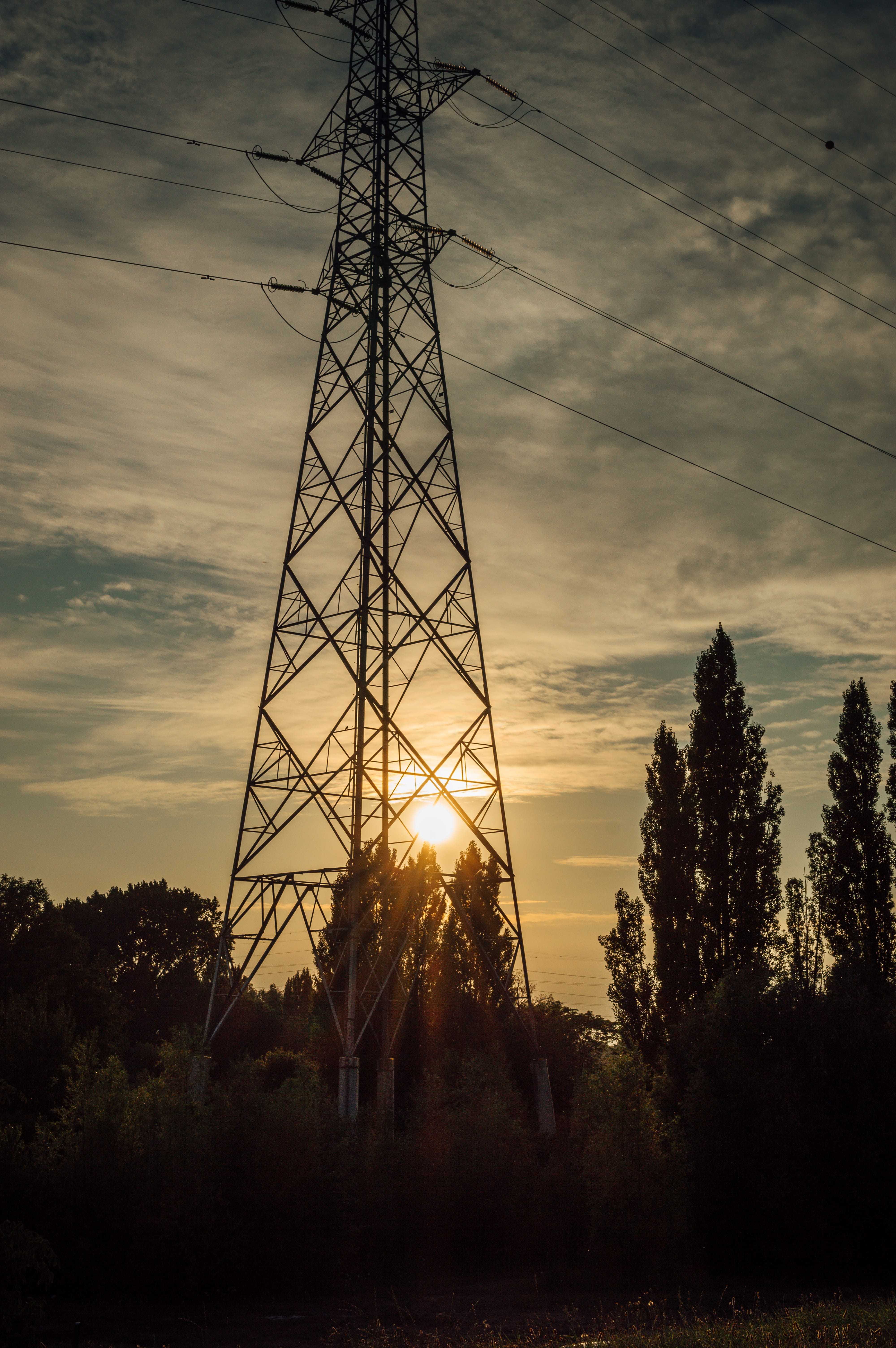 tree, sunlight, telephone line, moody, outdoors, dawn, electricity pylon, urban, connection, electricity, low angle view, ghosttown, utility pole, sunset, Phone HD Wallpaper