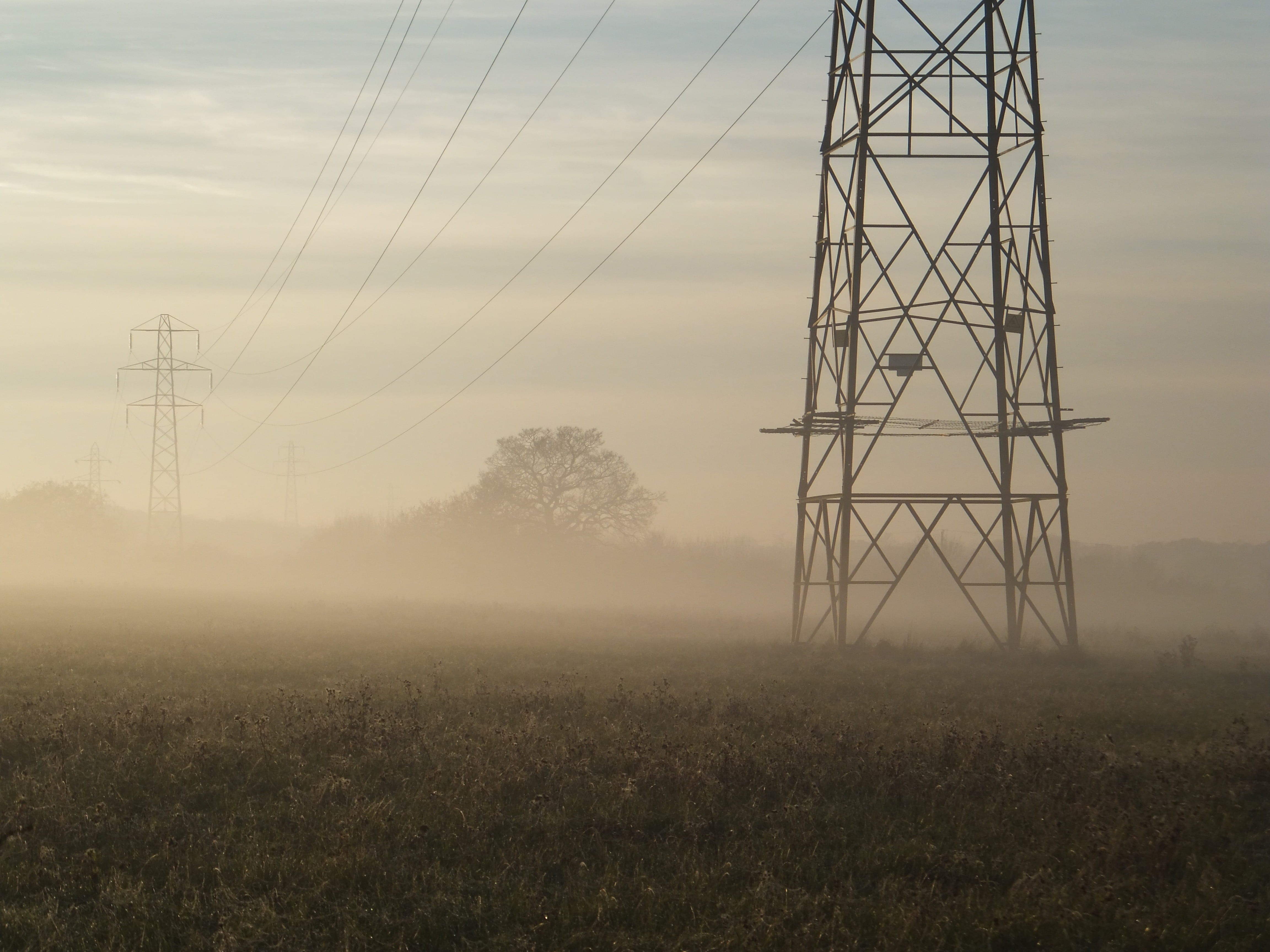 built structure, nature, electricity, field, environment, plant, no people, overhead line, electrical towers, electrical component, utility poles, fuel and power generation, HD Wallpaper