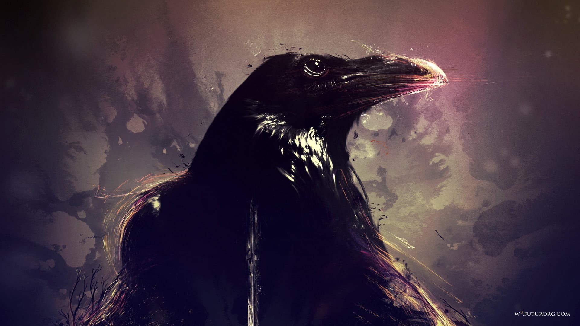 crow, outdoors, animal body part, raven, mammal, 1080P, animals in the wild, animal head, birds, vertebrate, sky, wet, animal wildlife, artwork, sea, animal themes, HD Wallpaper