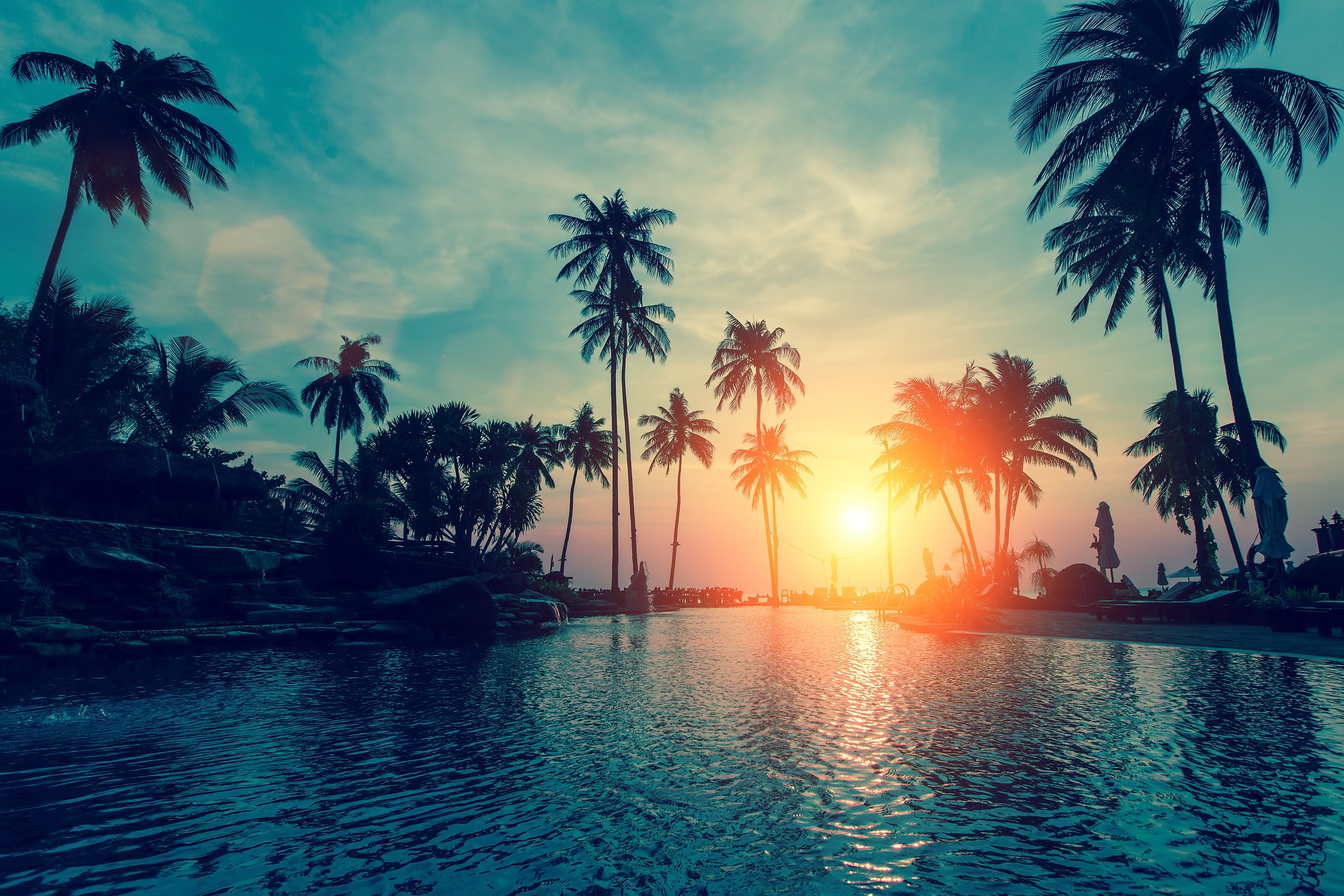 Sunset, Tropical beach, Palm trees, 2K, HD Wallpaper
