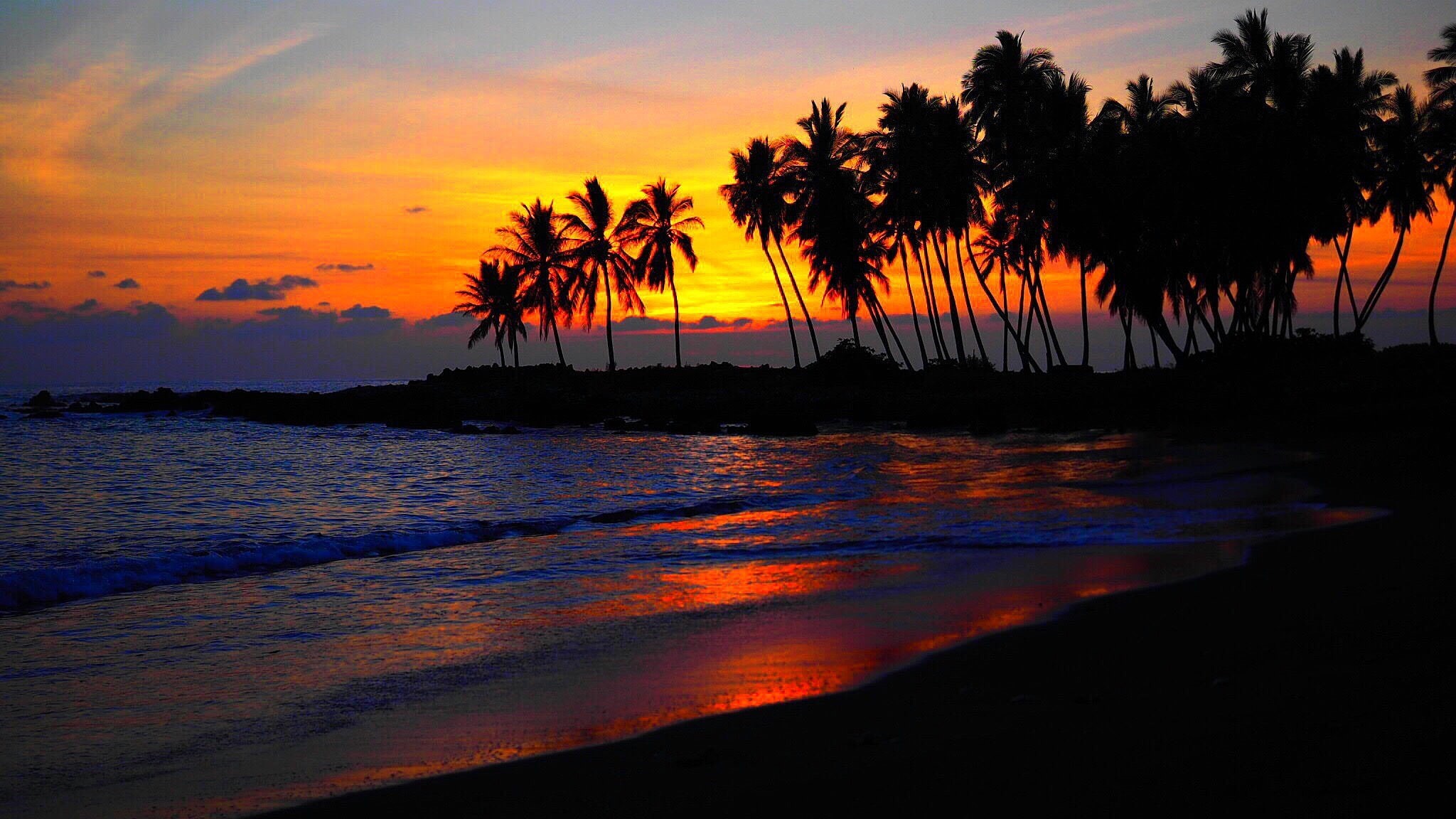 sky, reflection, tranquility, water, nature, tranquil scene, palm trees, orange color, beauty in nature, sunset, tree, sea, land, idyllic, 1080P, plant, HD Wallpaper