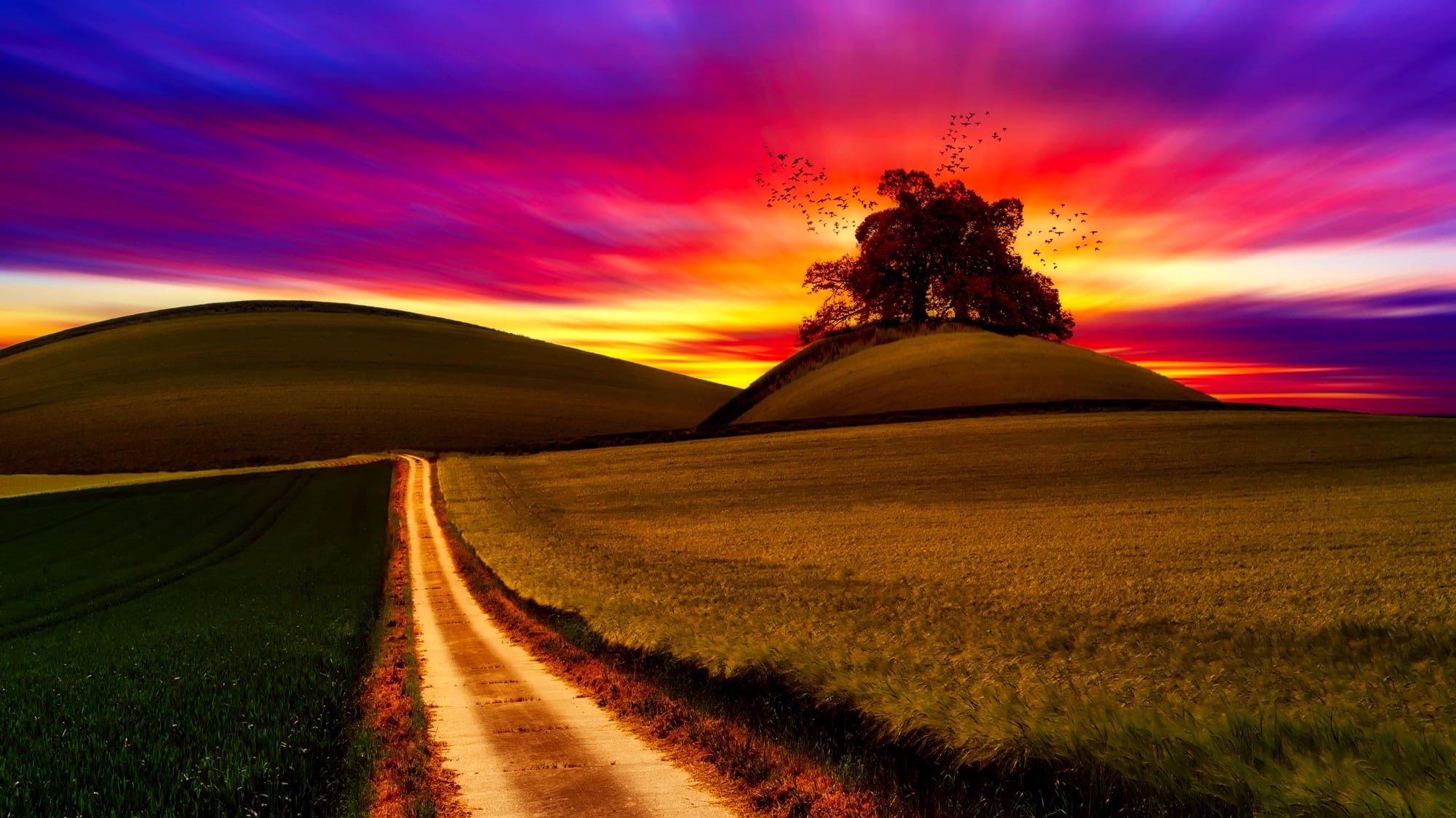 sky, summer, no People, sun, landscaped, Dusk, dramatic sky, colorful, flock, trees, environment, hills, rural Scene, outdoors, land, cloud - Sky, country, HD Wallpaper