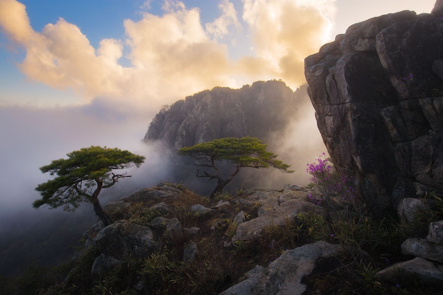 rock - object, tranquil scene, landscape, cloud - sky, formation, outdoors, beauty in nature, trees, spring, cliff, tranquility, fog, South Korea, tree, HD Wallpaper
