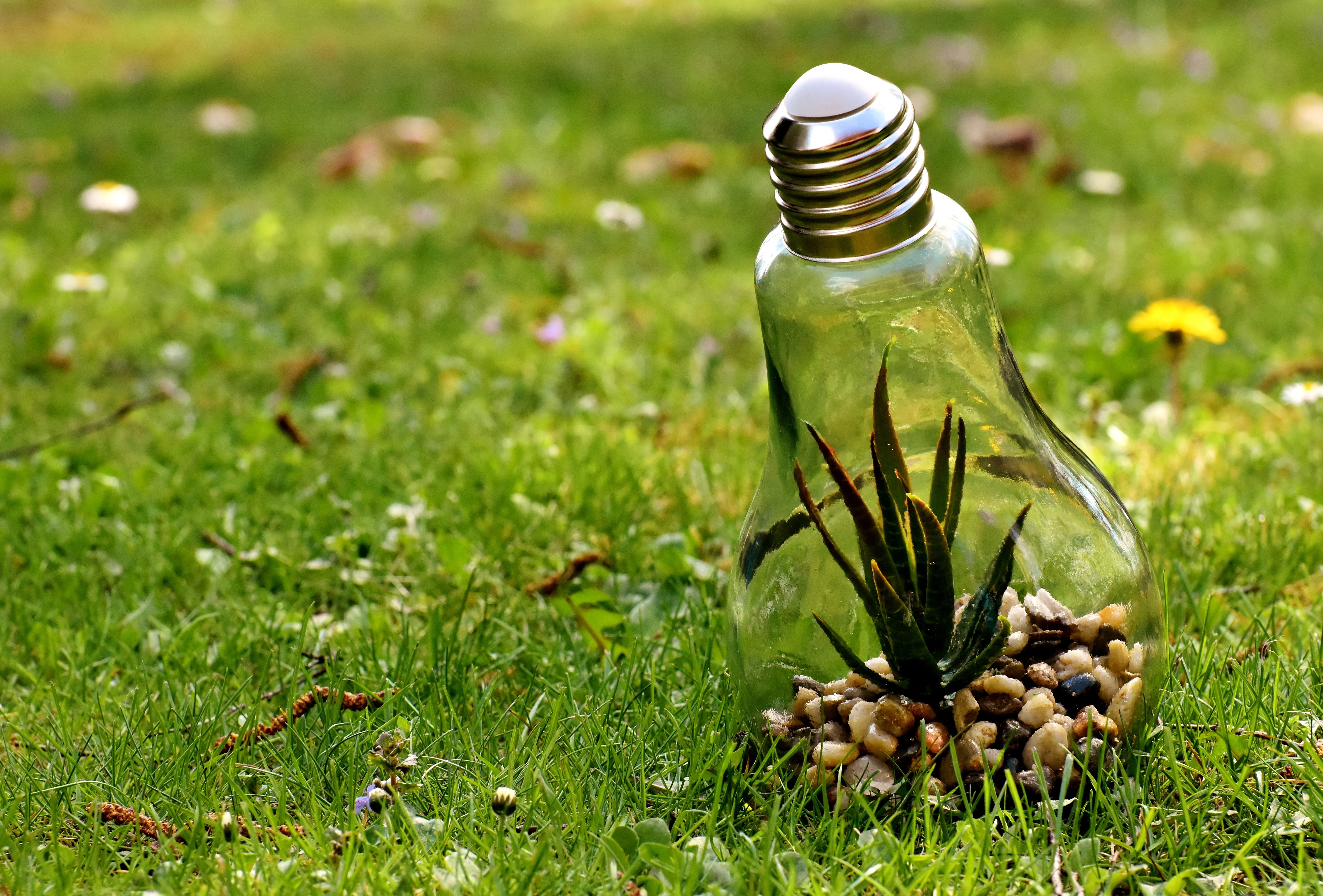 freshness, container, energy, 5K, nature, ideas, salt shaker, light bulb, outdoors, food and drink, current, green color, field, salt - seasoning, close-up, HD Wallpaper