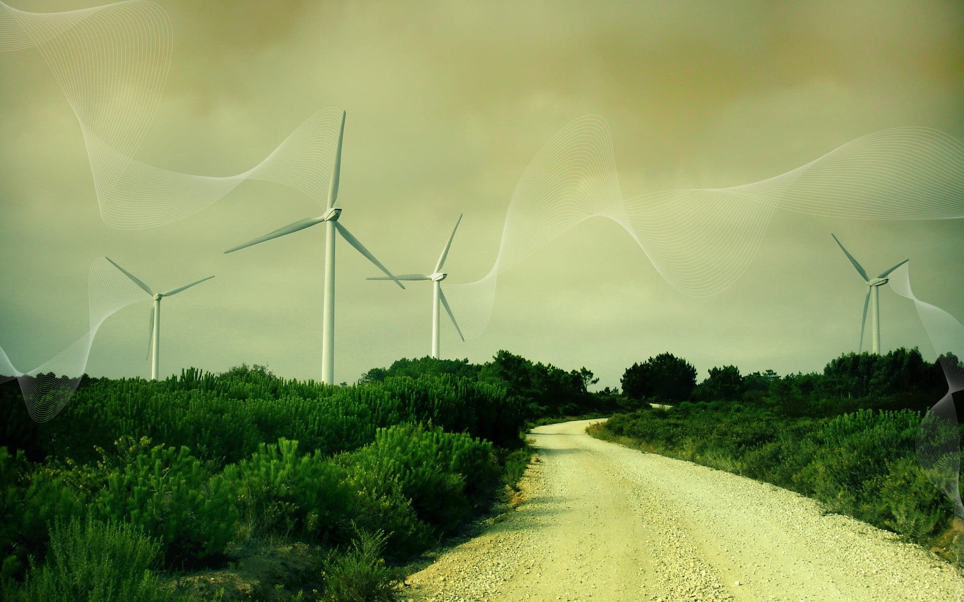 day, nature, wind farm, white, 1080P, windmill, the way forward, beauty in nature, sustainable resources, road, wind power, branch, renewable energy, turbine, HD Wallpaper