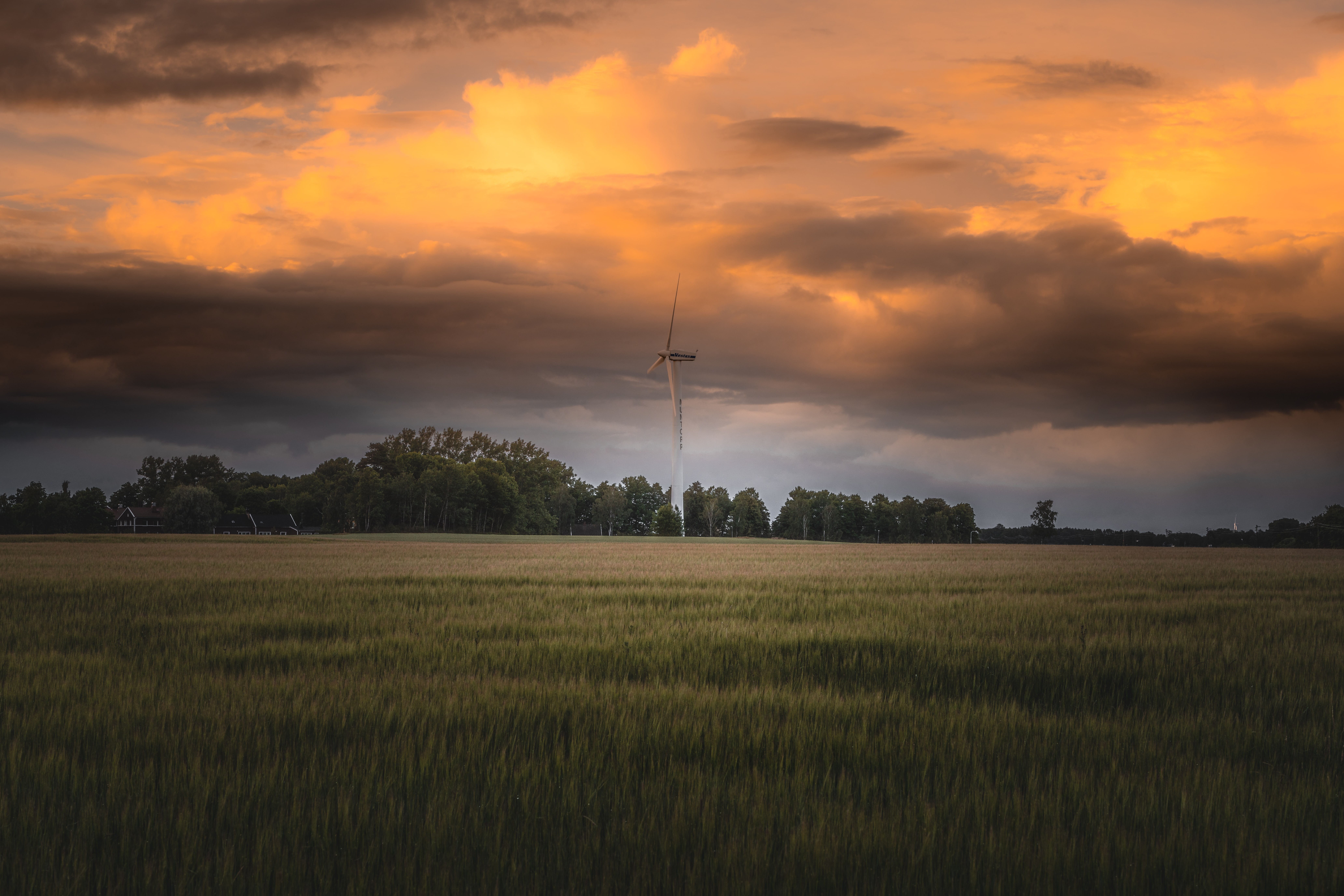 overcast, wind farm, landscape, field, windmill, sunset, 8K, HD Wallpaper