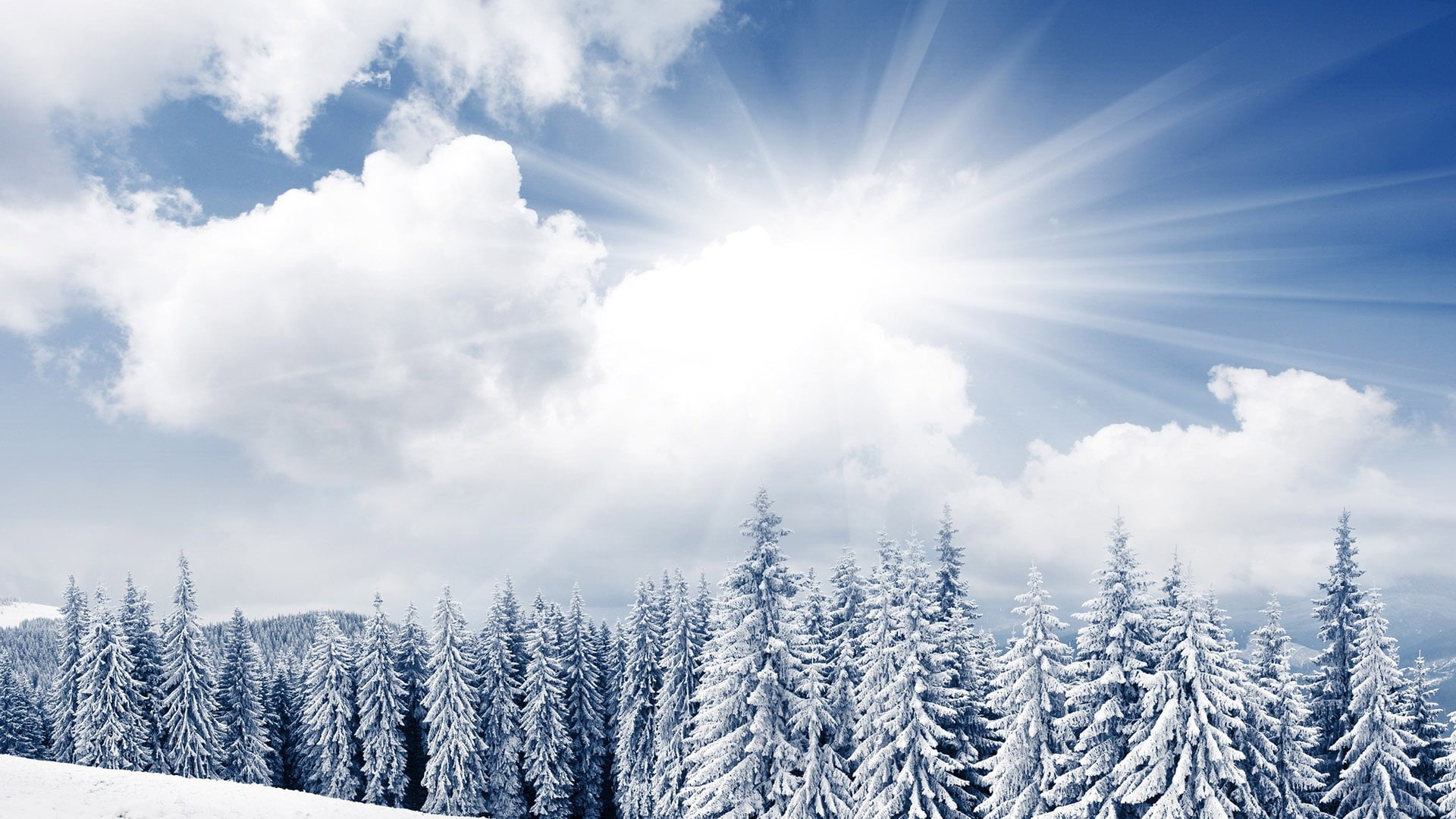 solid, woodland, tranquil scene, no people, space, backdrop, weather, day, blue, bright, clean, high, backgrounds, snow, white color, nature, heaven, 1080P, HD Wallpaper