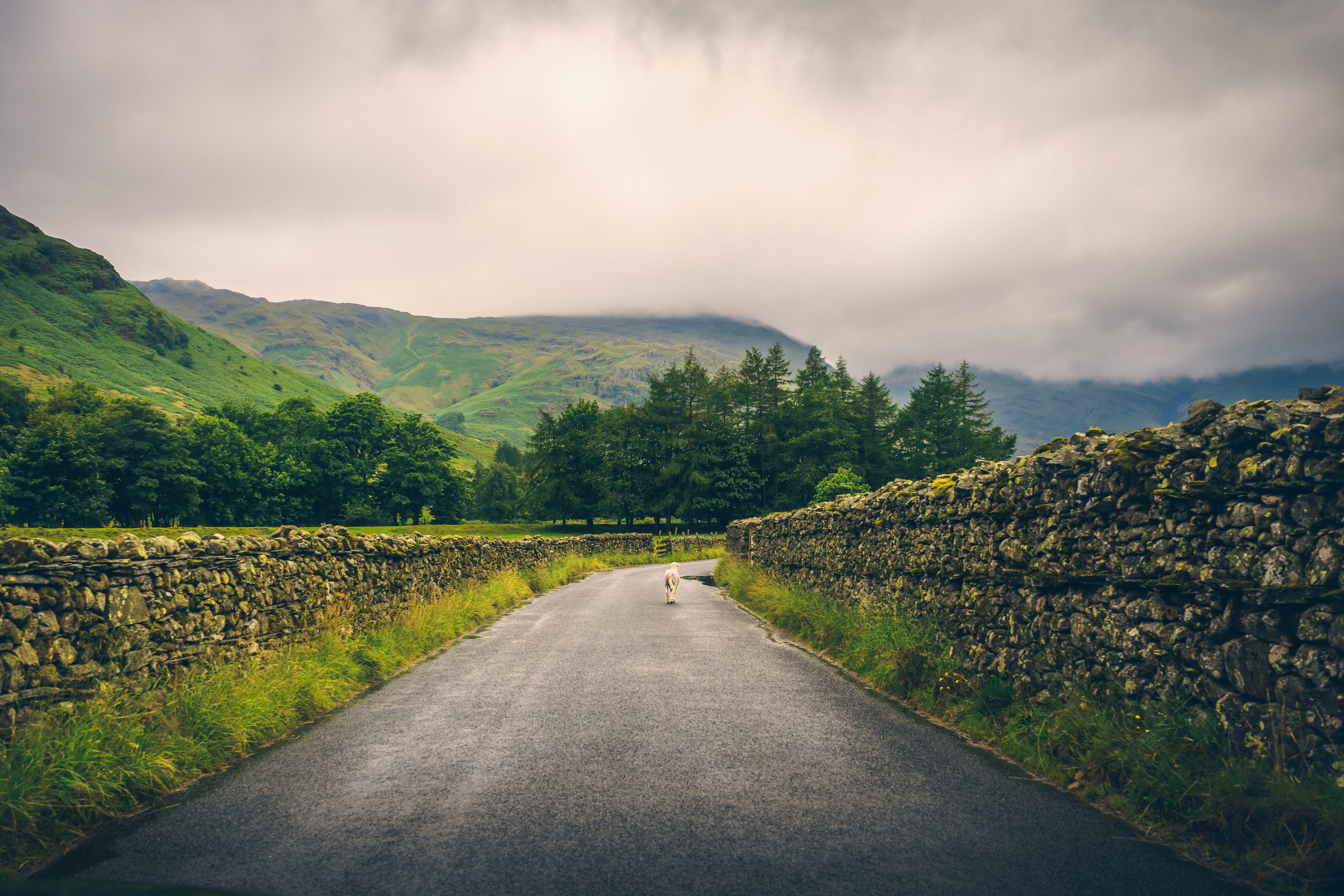 land, hill, green, lake district, environment, tranquility, nature, lake district national park, ambleside, diminishing perspective, uk, clouds, 5K, plant, HD Wallpaper