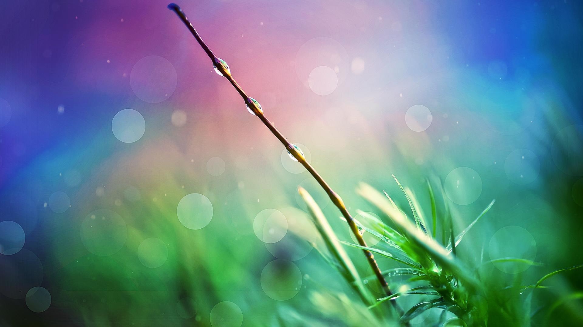 nature, nature and landscape, 1080P, heaven, HD Wallpaper
