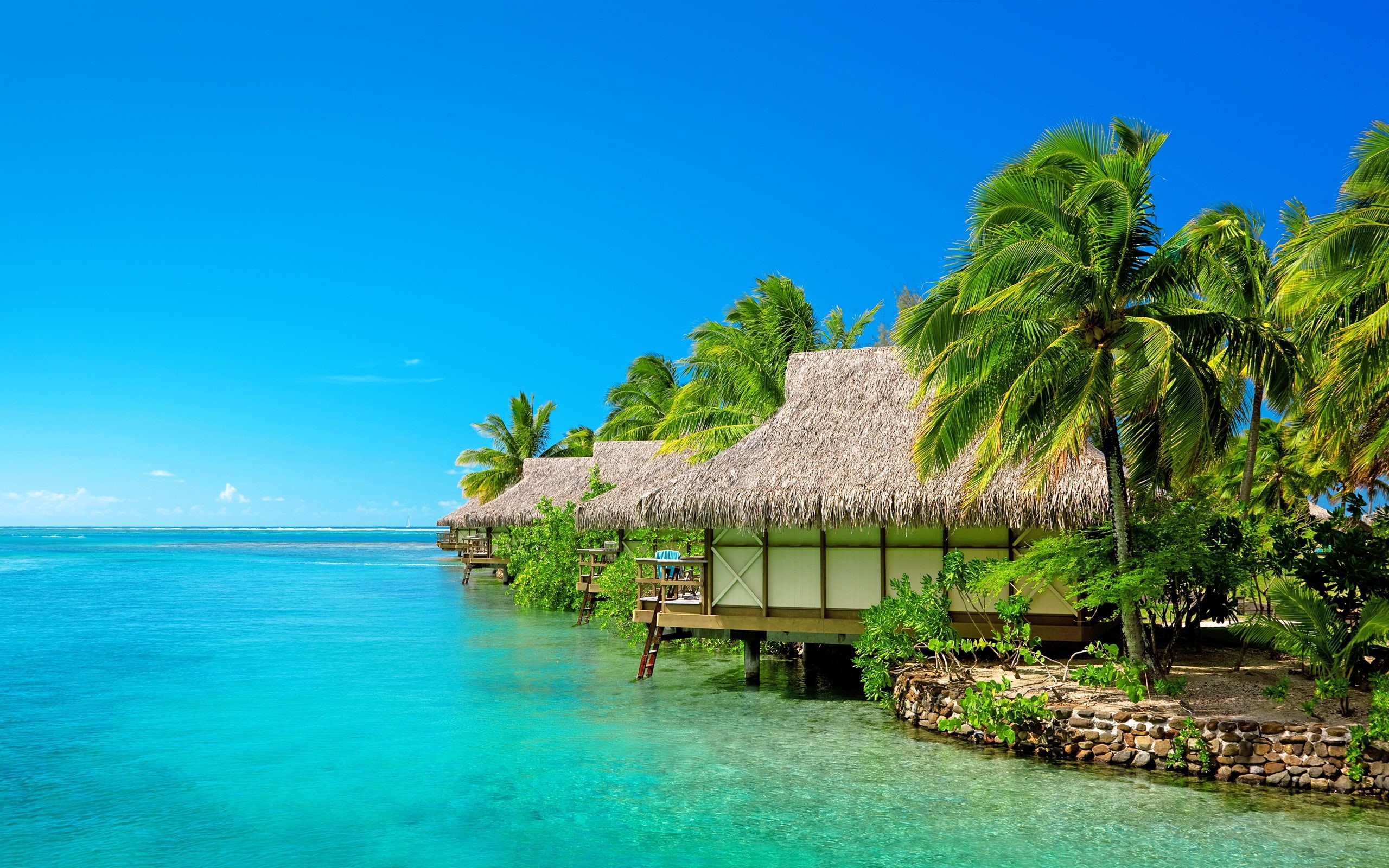 Sea, hut, white, Beach, brown, 2K, Palm, Bungalow, Sky, Trees, Resort, seashore, Blue, HD Wallpaper