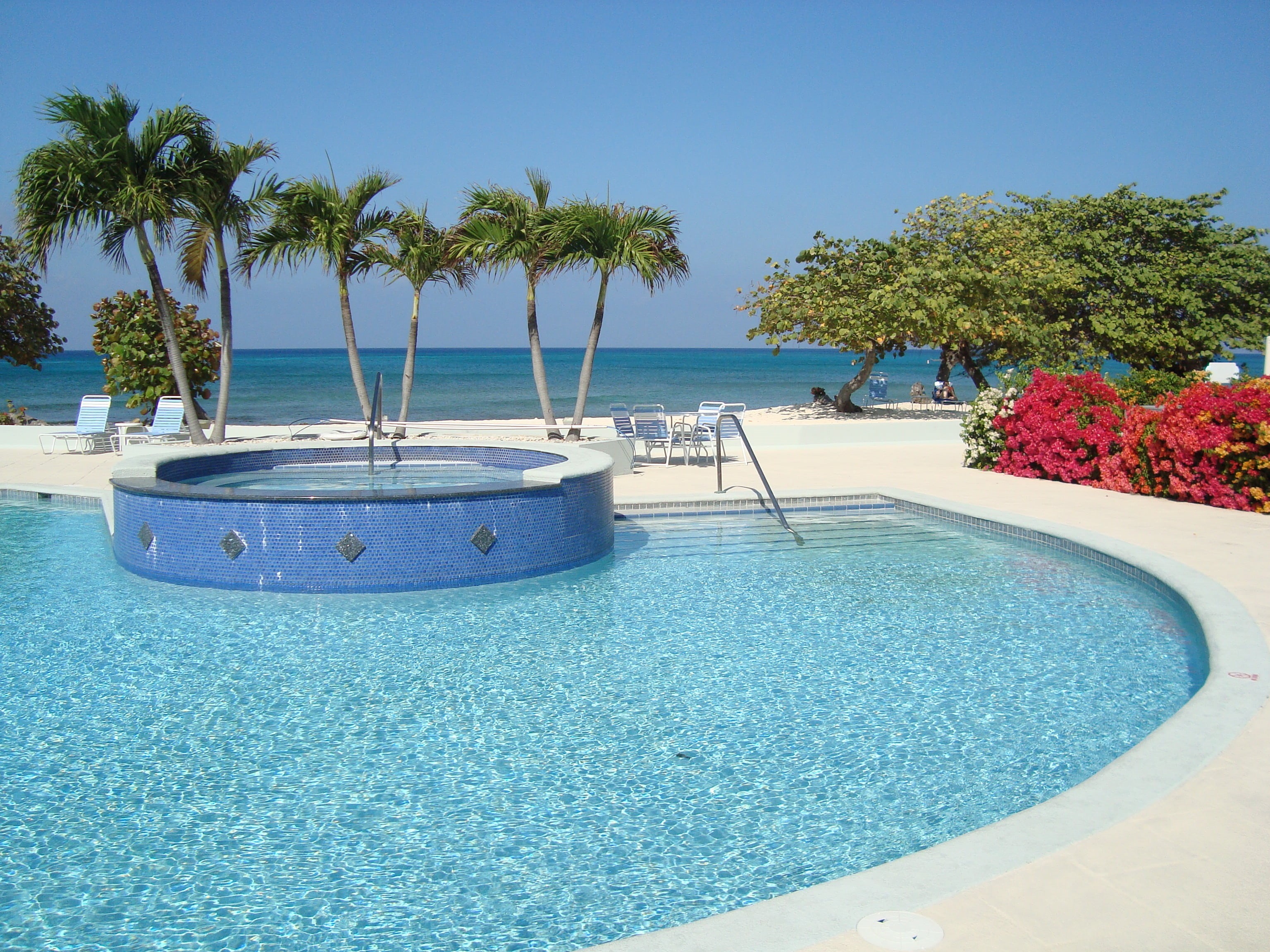 carribean, tranquility, tree, resort, nature, swimming, relaxing, round, sea, day, grand cayman, tranquil scene, palm tree, cayman, near, plant, poolside, HD Wallpaper