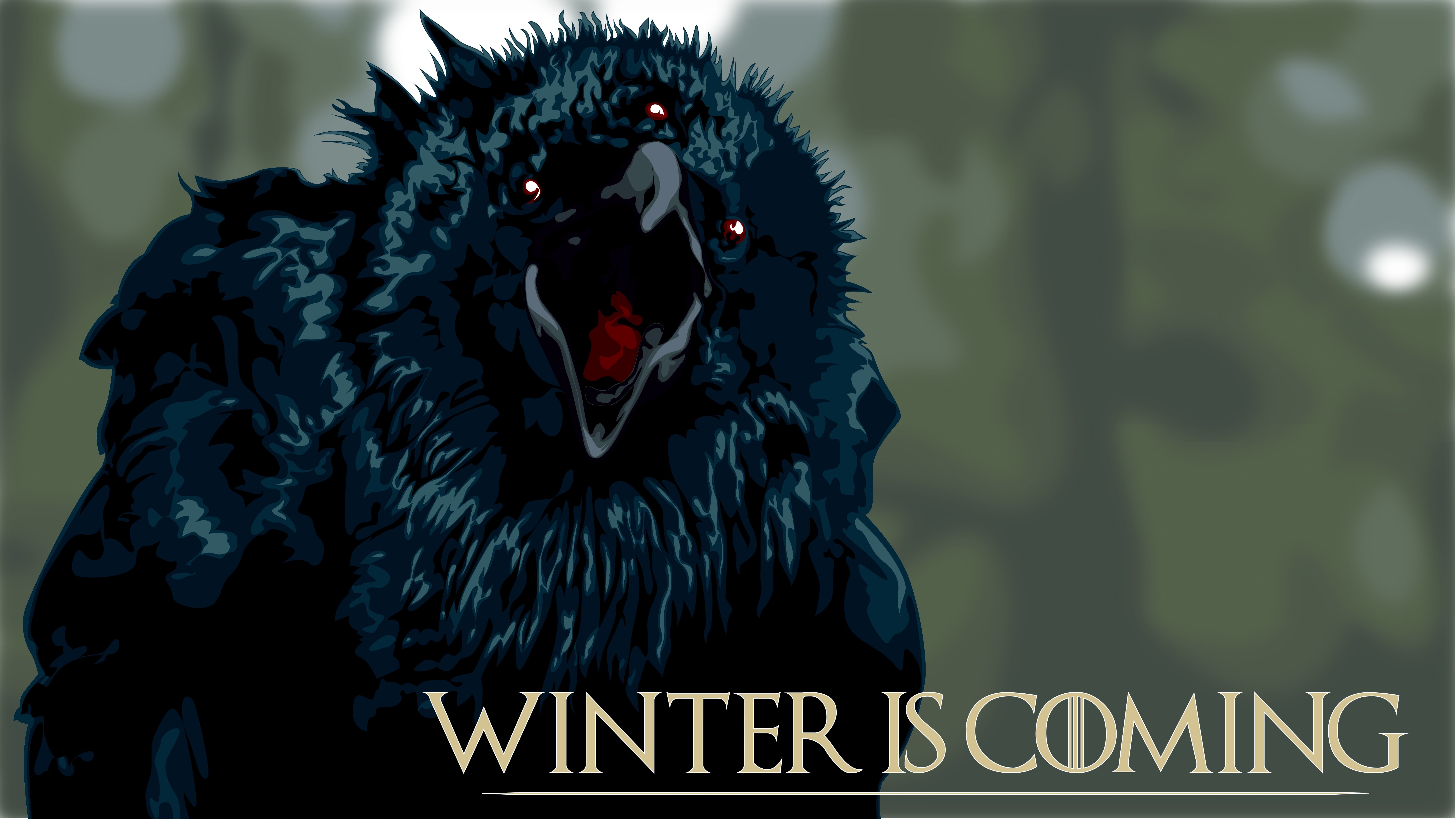 animal wildlife, day, focus on foreground, Game of Thrones, obscured face, communication, 8K, text, portrait, representation, bird, festival, crow, Winter Is Coming, HD Wallpaper