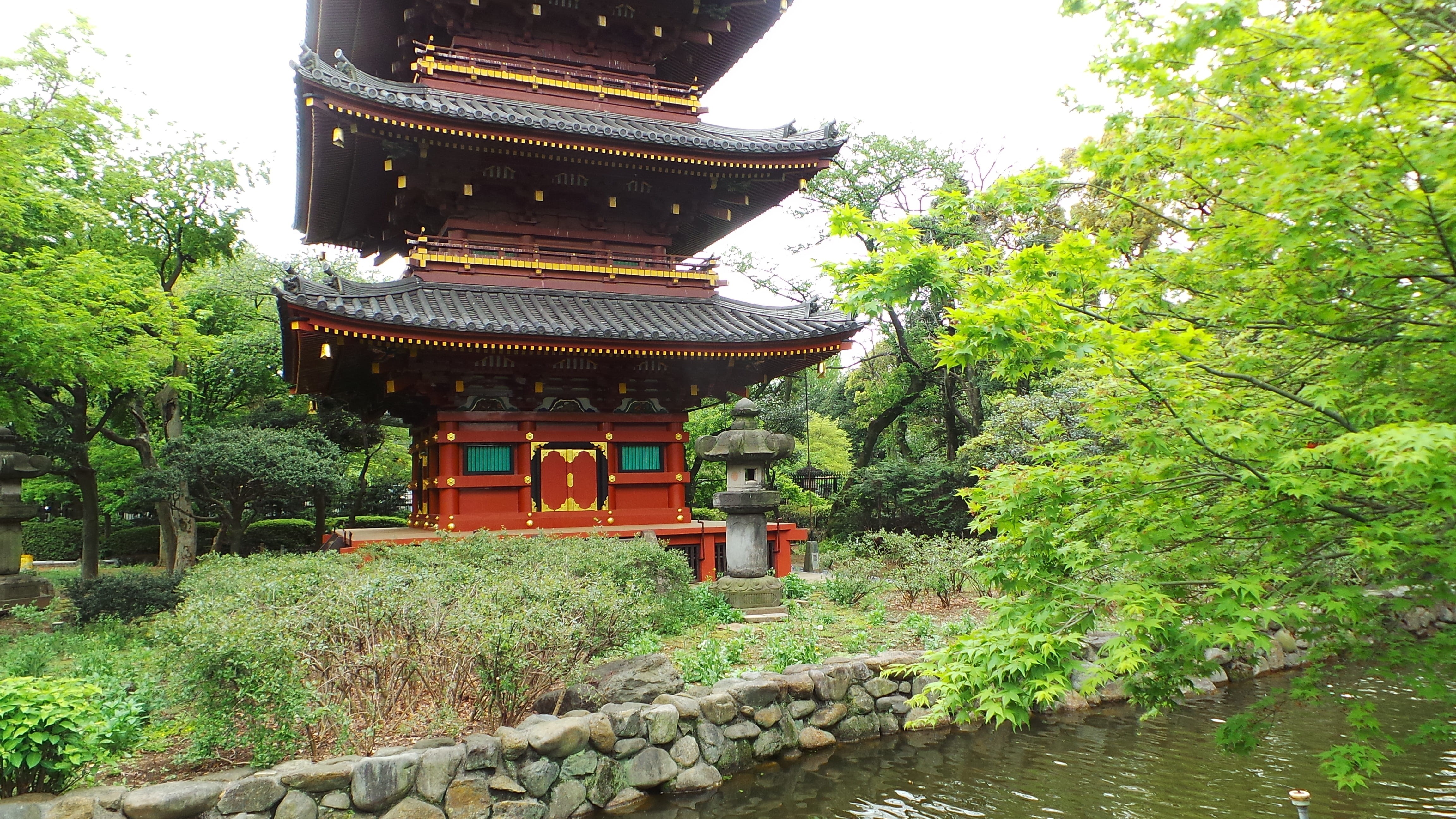 built structure, Pagoda, buddhism, growth, outdoors, zen-like, temple - Building, asia, architecture, east Asian Culture, spirituality, kyoto Prefecture, HD Wallpaper